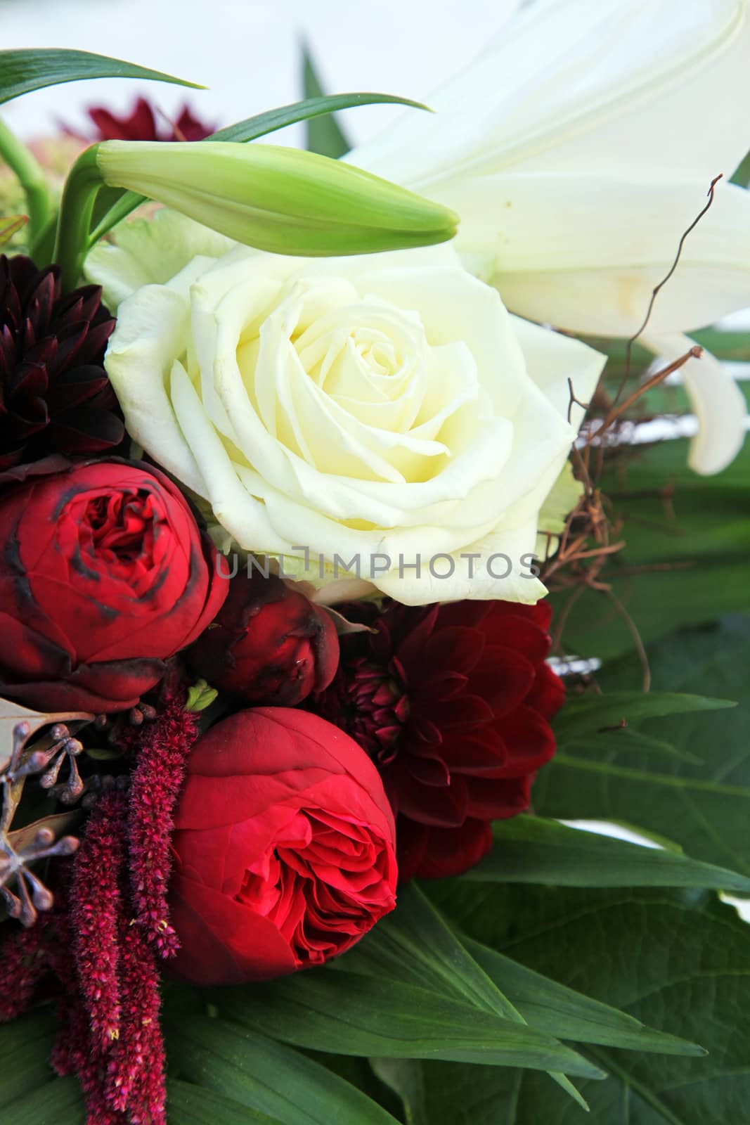 Close-up of white roses and lilies - vertically, with space for text