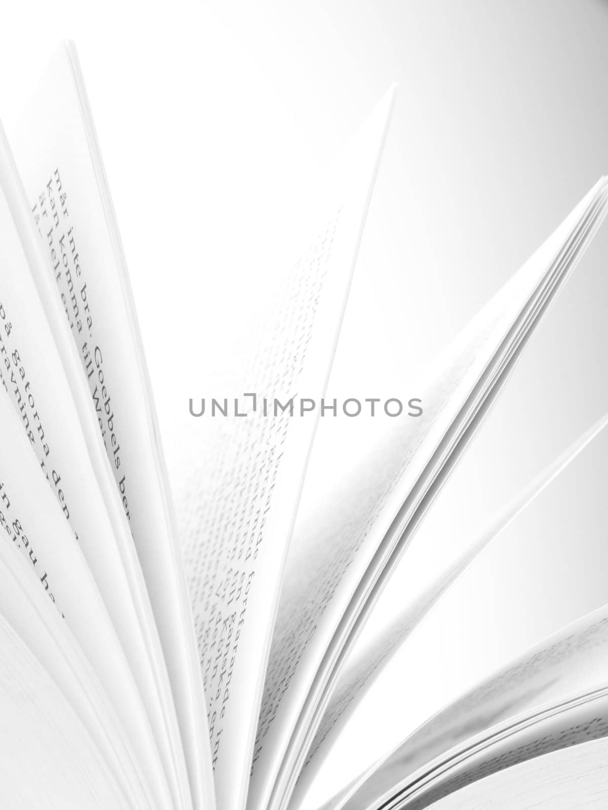 open book on white background