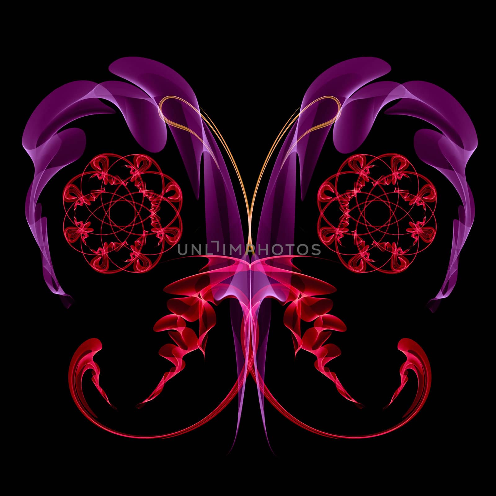 We see abstract fantasy colorful butterfly on dark background