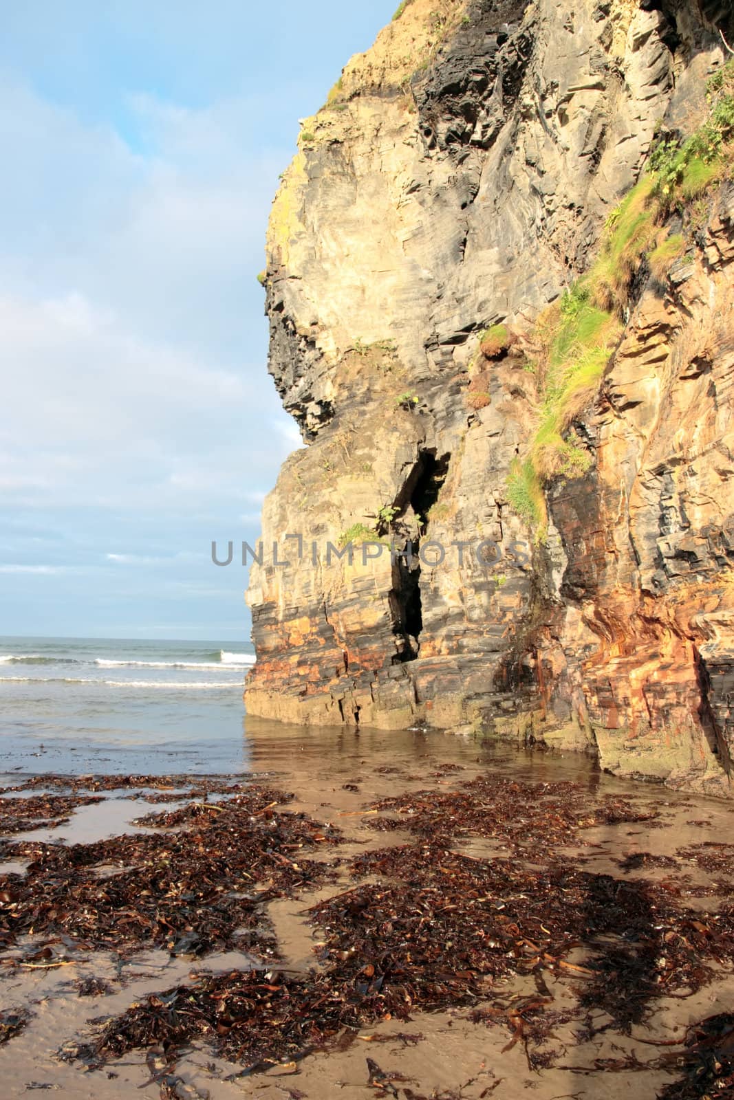 a view of the beach cliffs in ballybunion co kerry ireland with abundance of seaweed after a storm