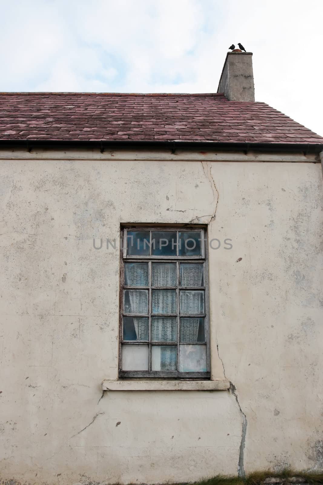an old decaying house front window in ireland with crows