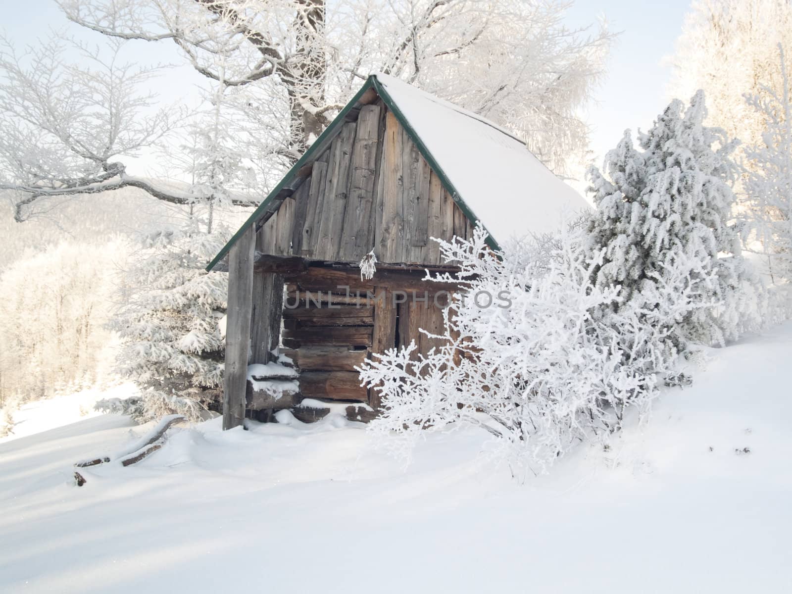 Wooden cottage under snow by parys