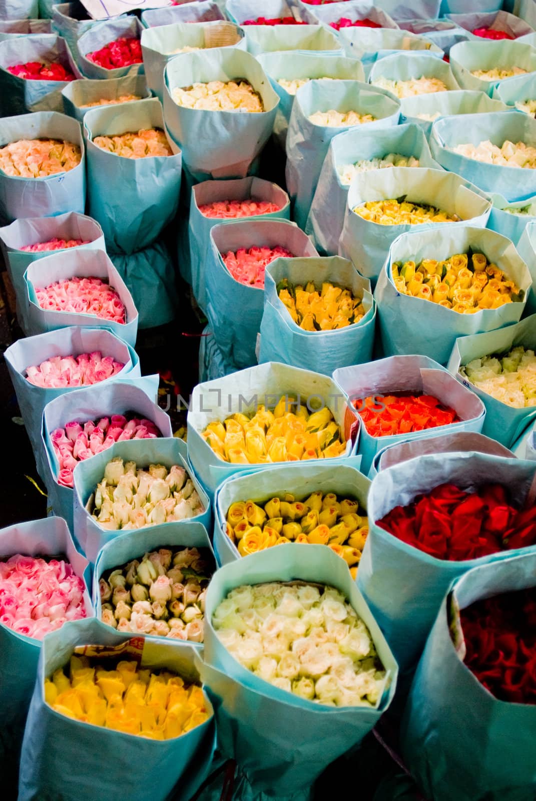 Rose in the paper pack, Flower market, Bangkok, Thailand