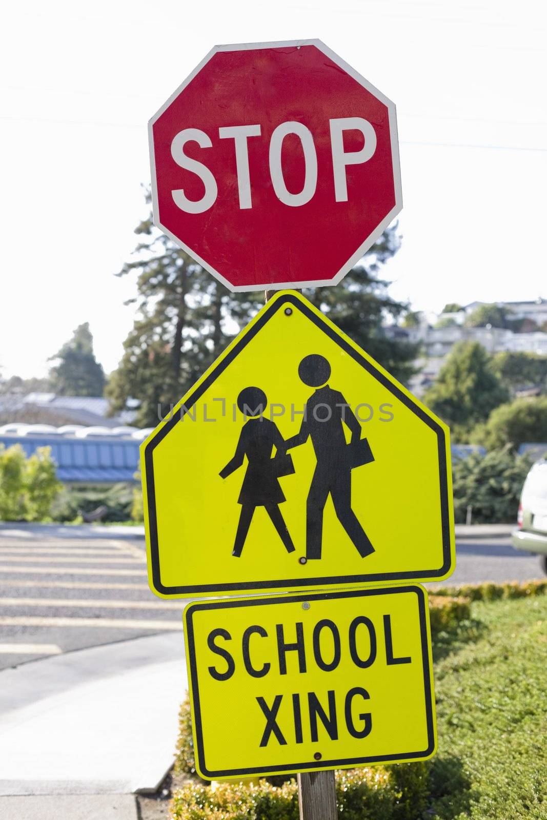 School Crosswalk With Stop Sign and School Xing Signs