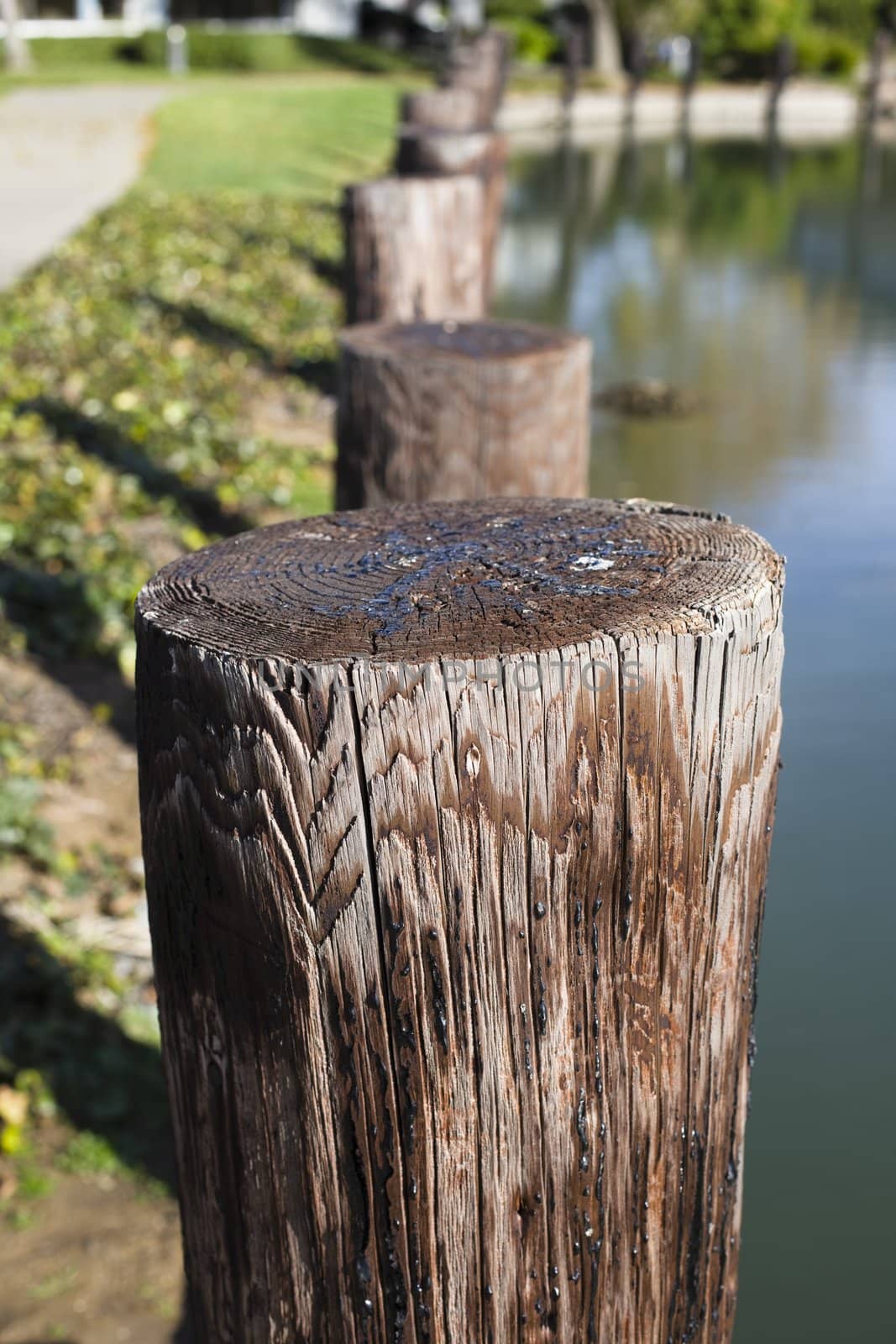 Row of Wooden Posts Along the Side of a Lake