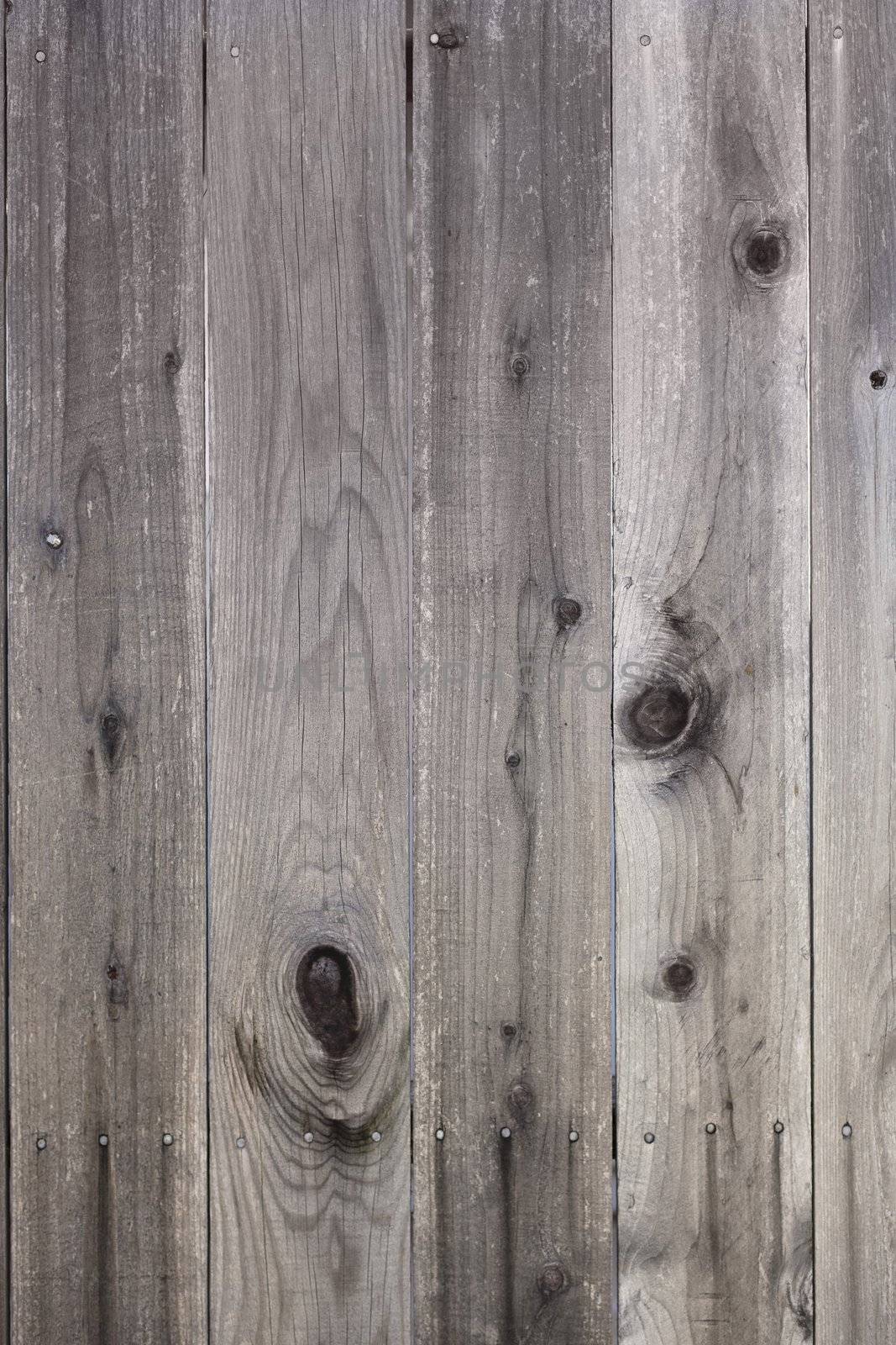 Closeup Detail of a Backyard Wooden Fence