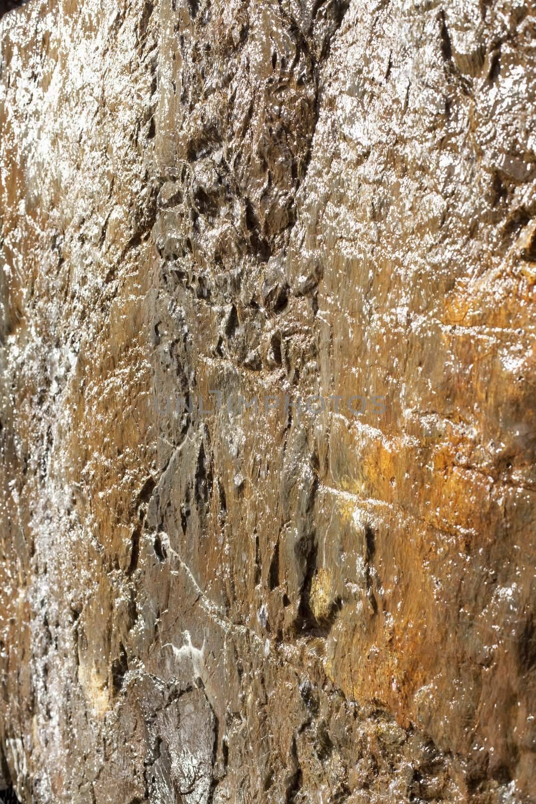 Closeup of a Shiny and Wet Brown Rock Wall