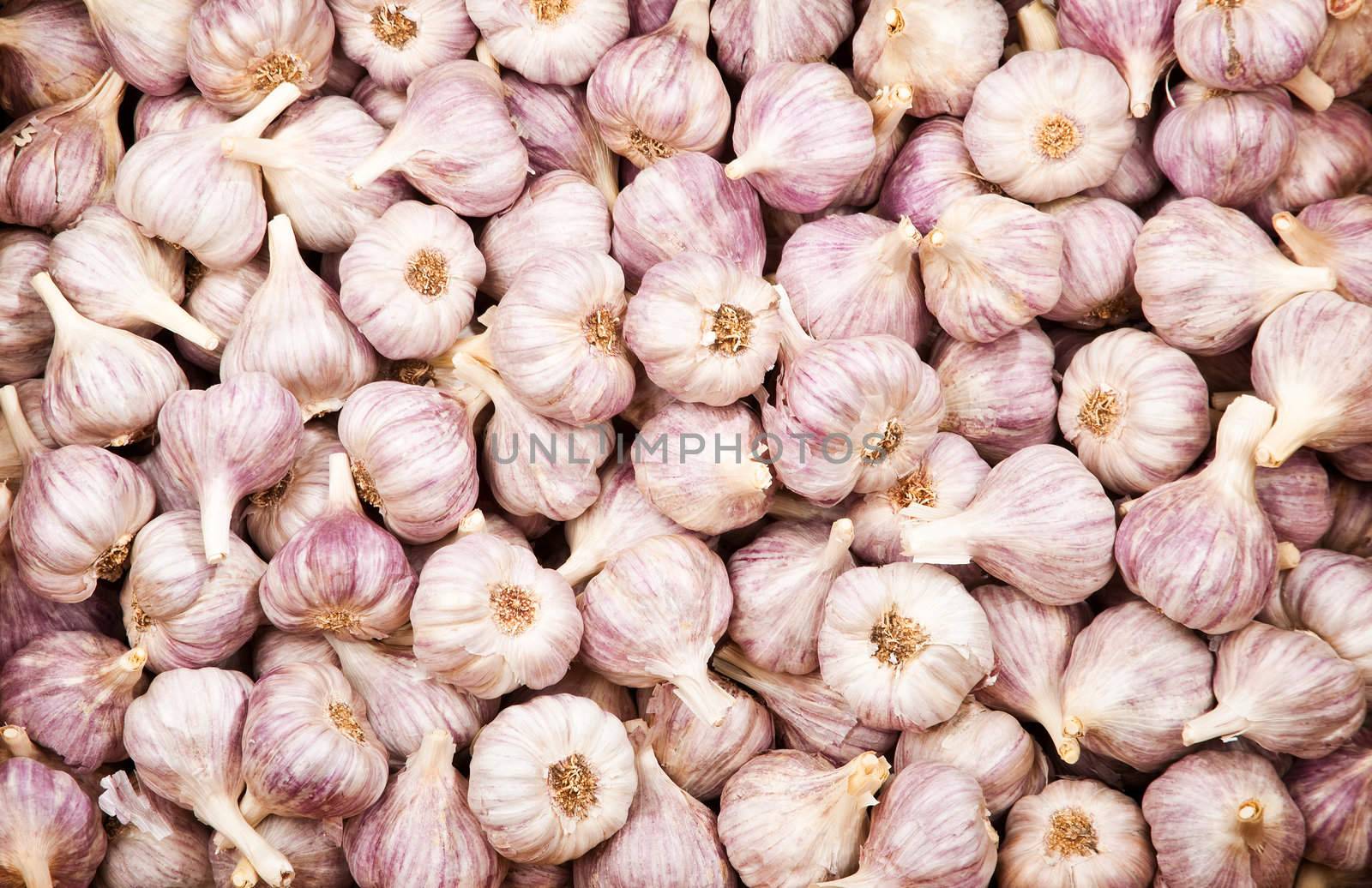 Many heads of fresh organic garlic fill the frame