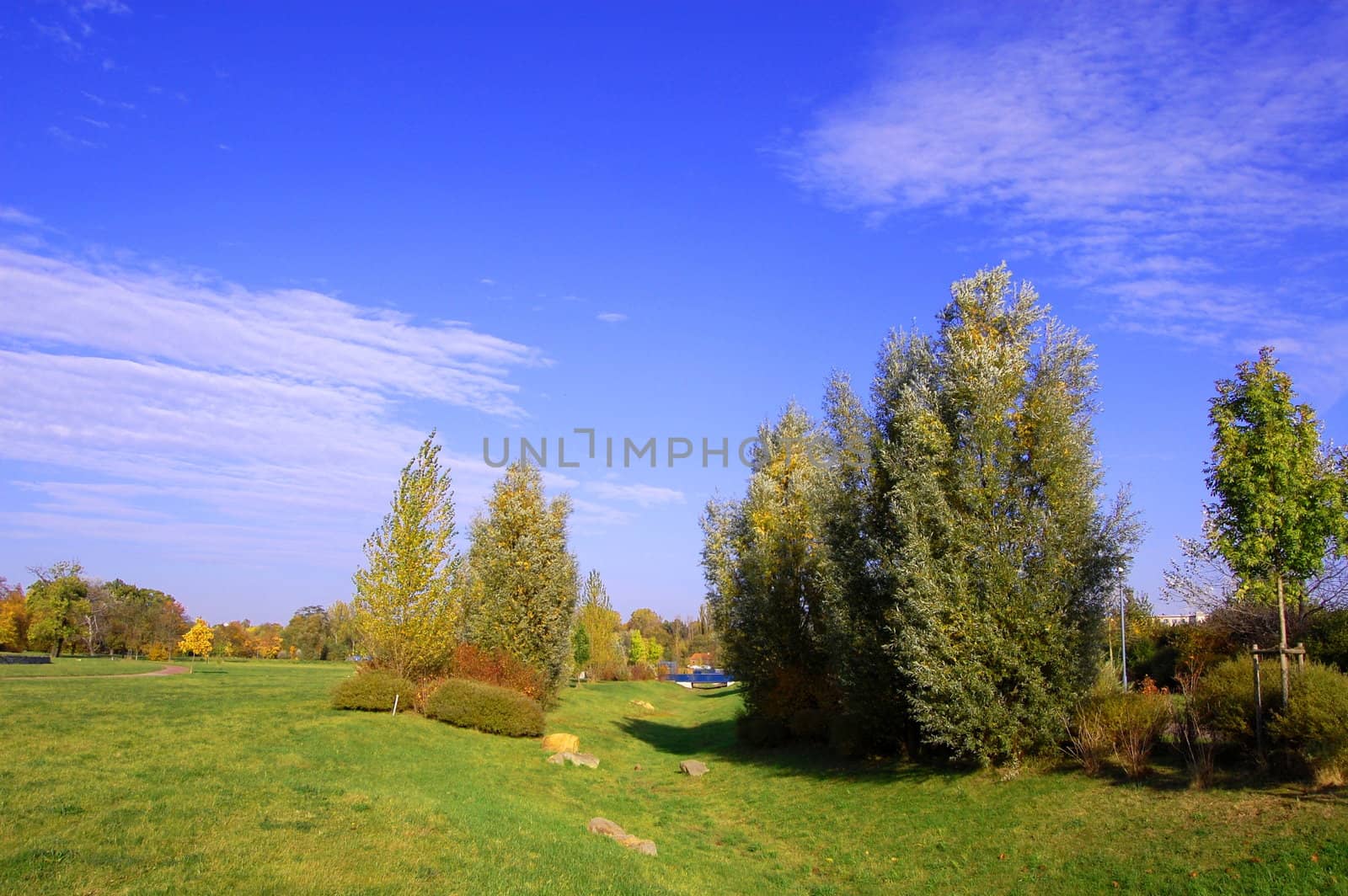 summer in the park with green trees and grass under blue sky