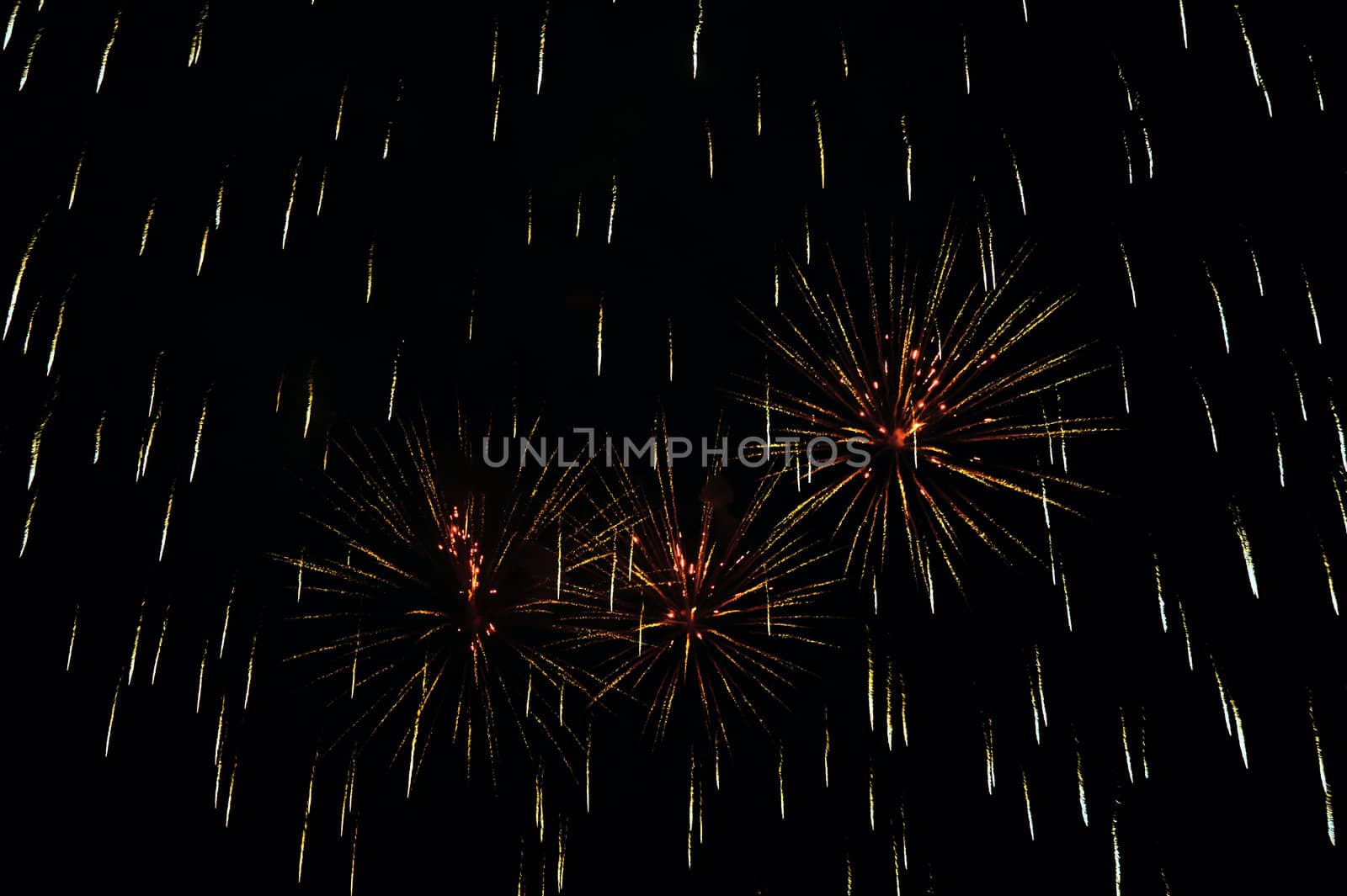 Firework by Kamensky
