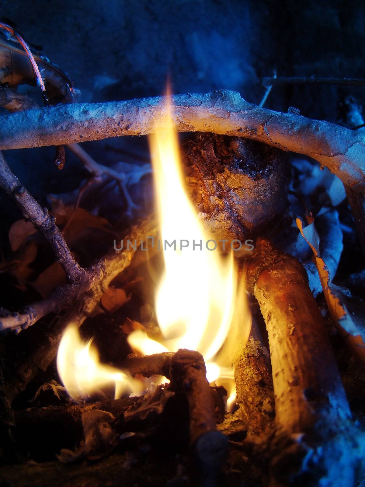bonfire by amandaols