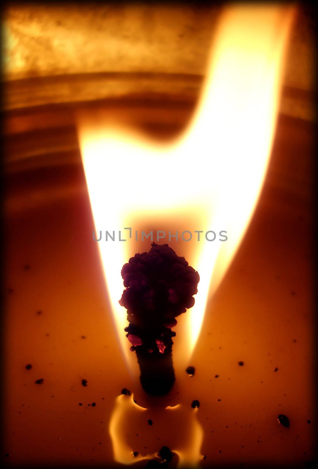 cintronella candle by amandaols