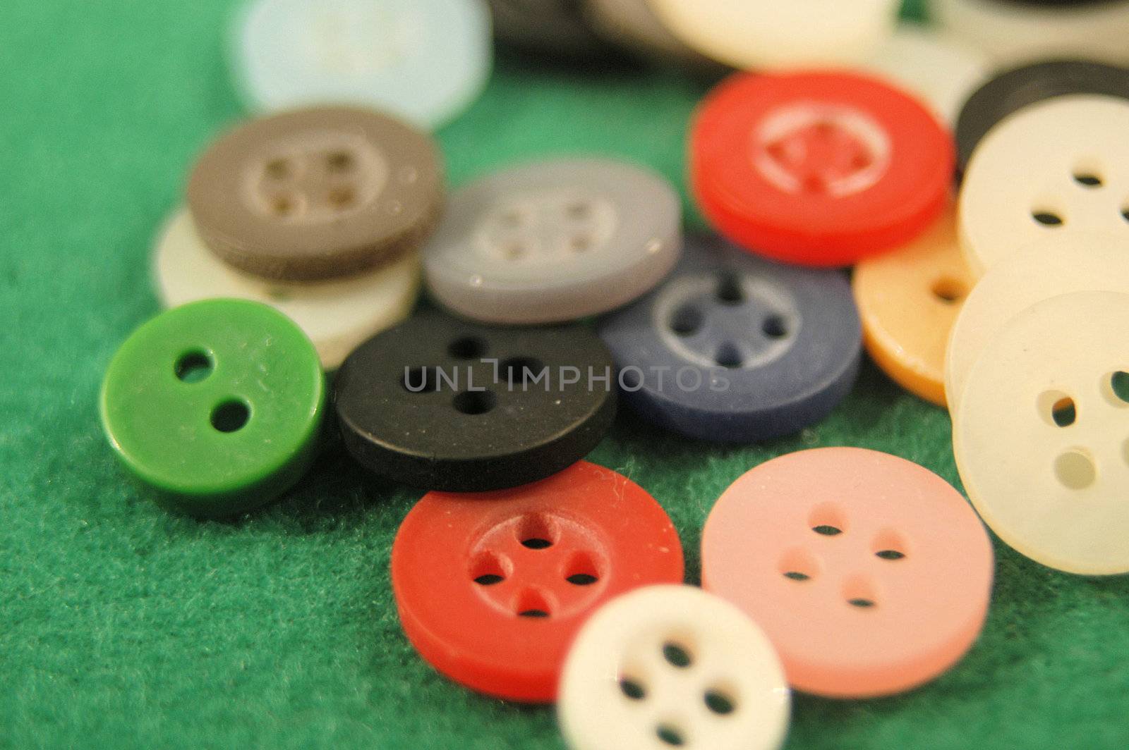 Button variety by northwoodsphoto