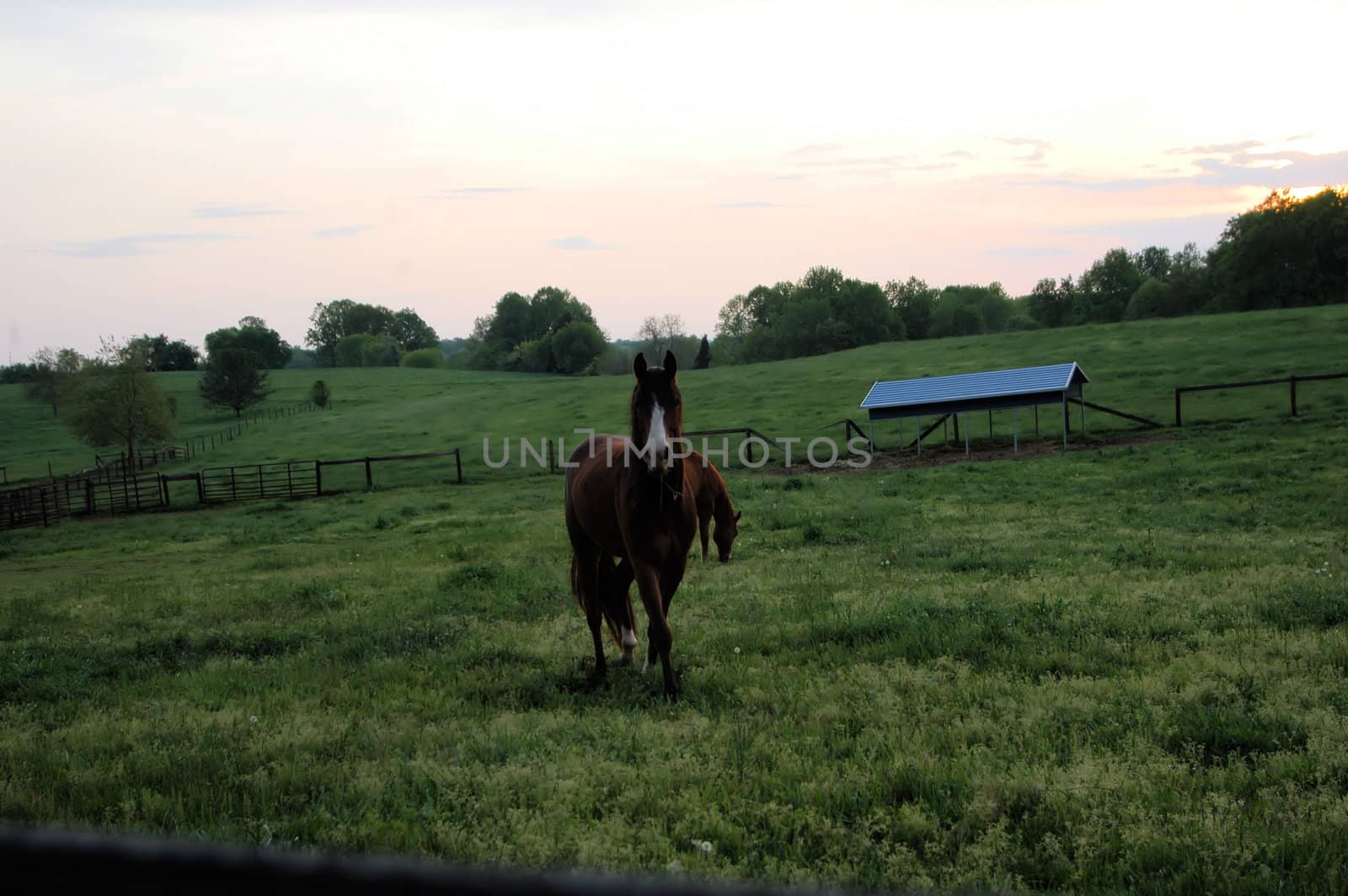 A horse farm in the evening as it closes down for the day