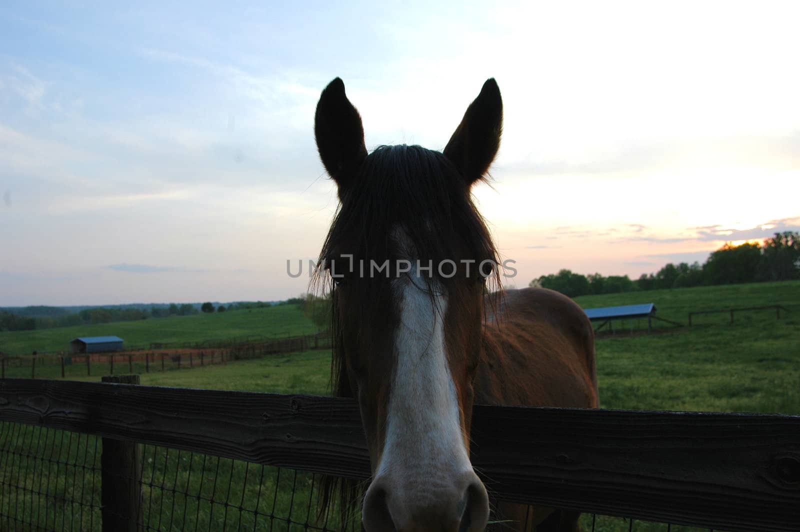 A horse farm in the evening as it closes down for the day