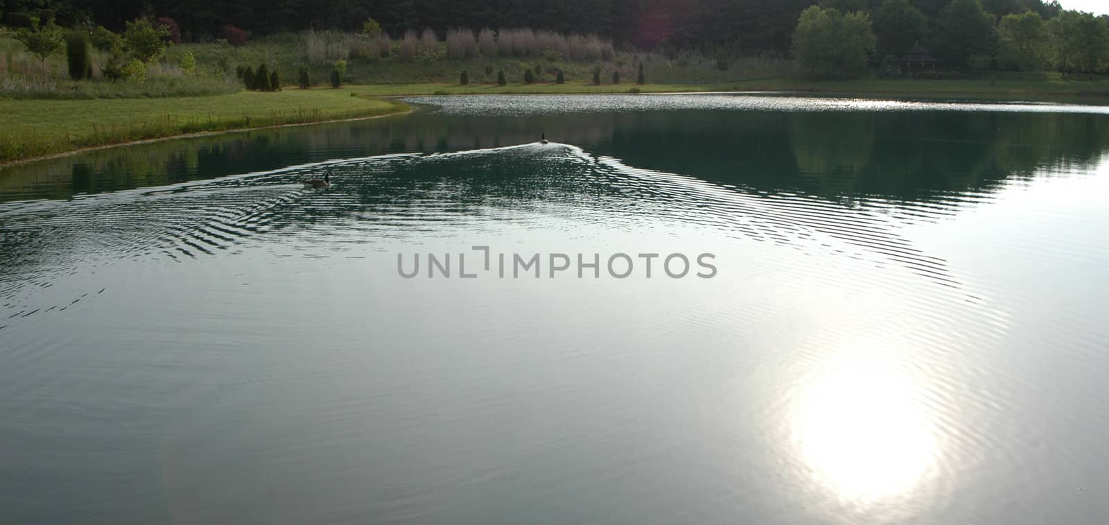 On the pond by northwoodsphoto