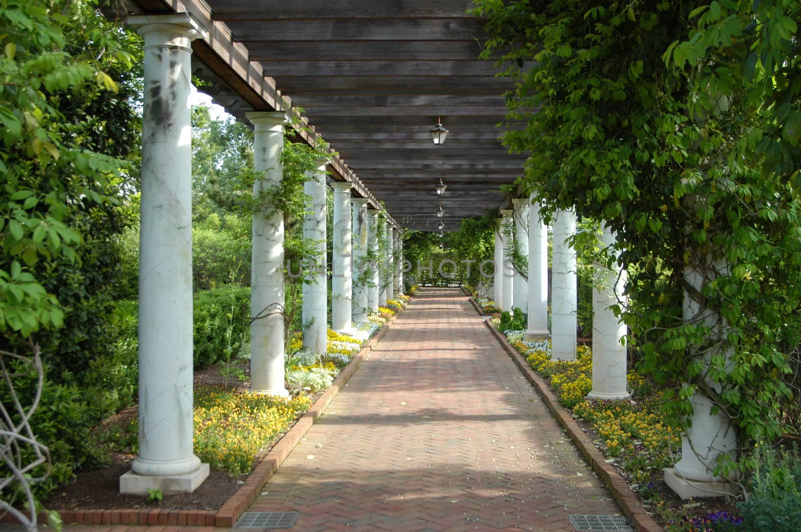 Outdoor walkway by northwoodsphoto