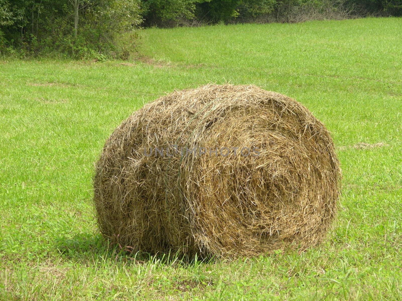 A round hay bale sitting in the field ready for pickup