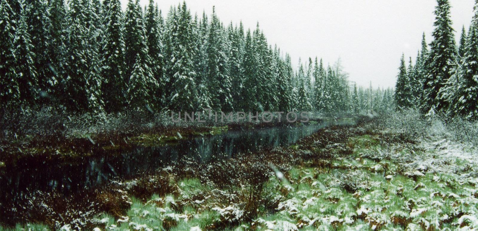 winter creek by northwoodsphoto