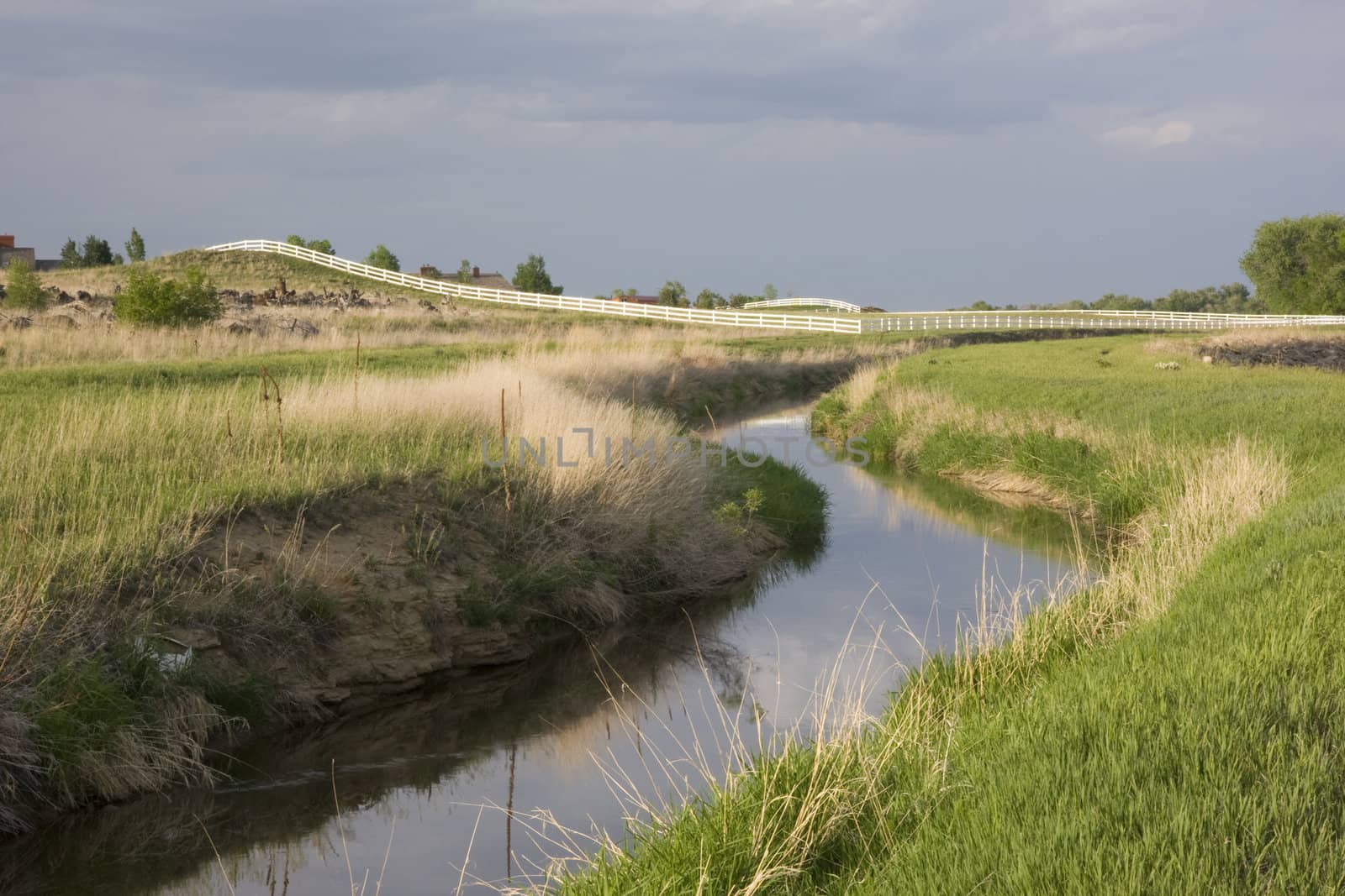 windy irrigation ditch with flowing water, green meadows and pasture behind  white fence, northern Colorado