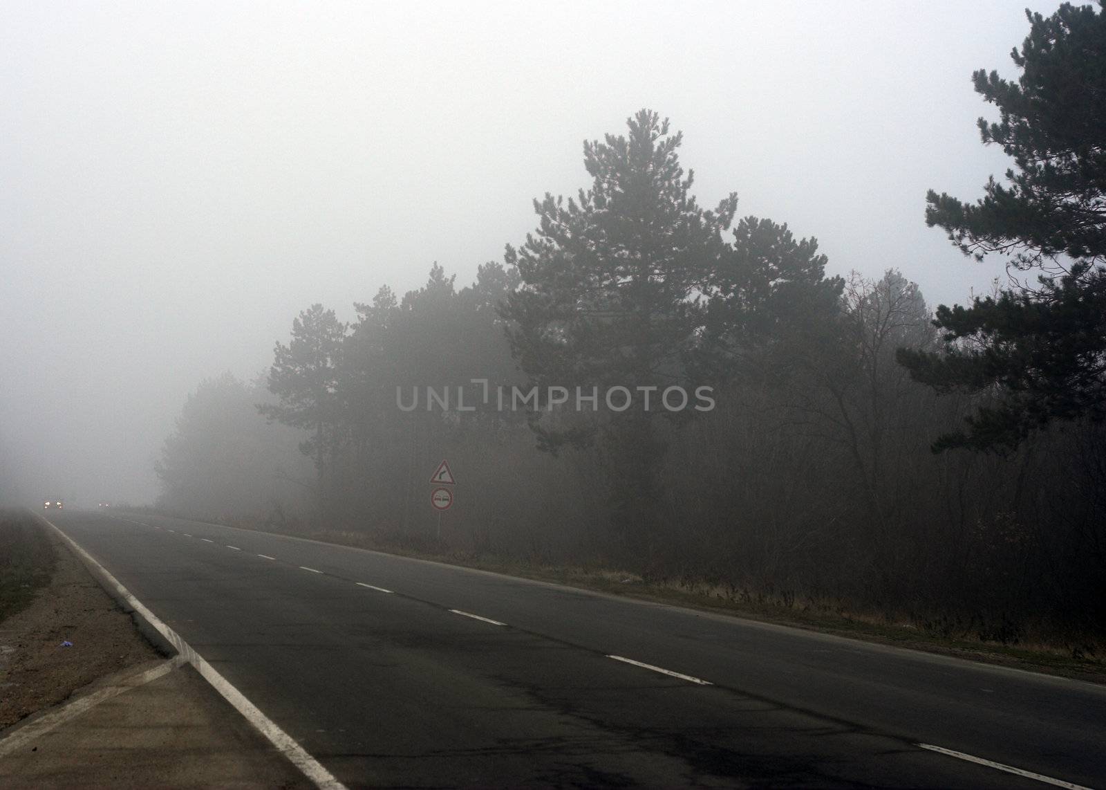 Picture of road in the fog