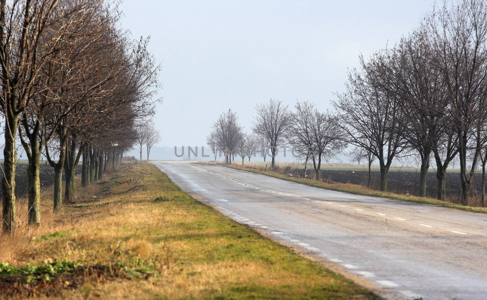 Picture of road in countryside