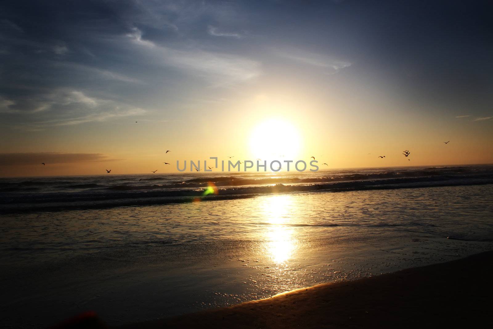 dayton beach sunrise by amandaols