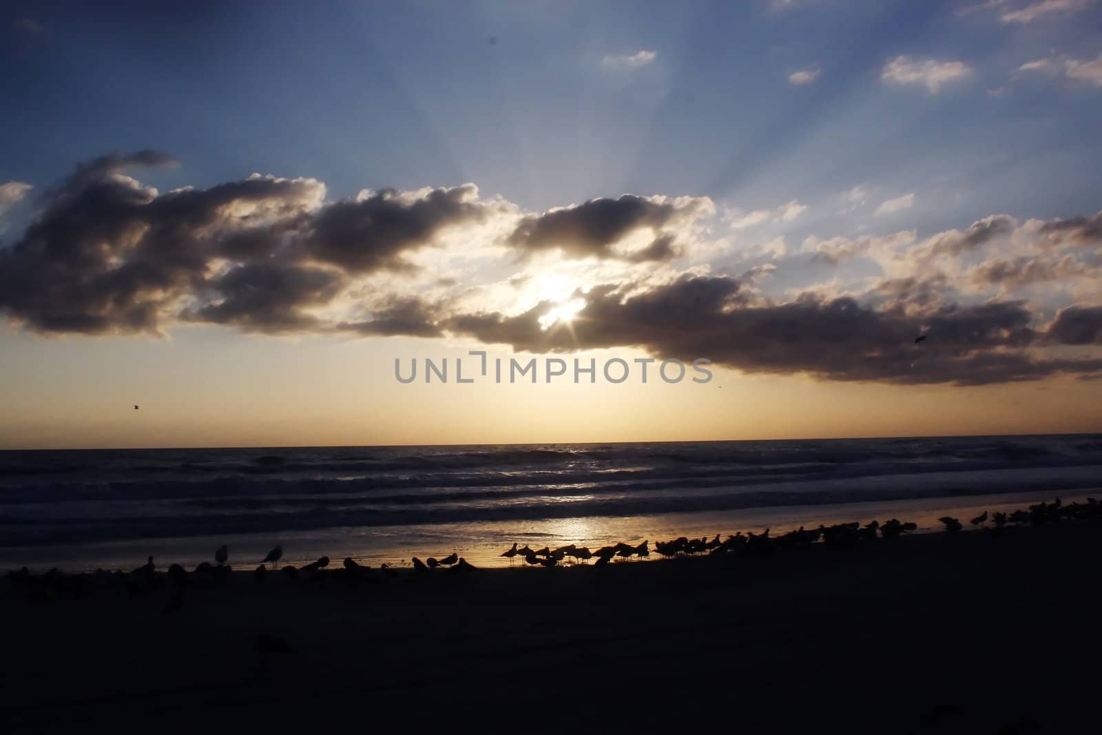 daytona beach sunrise by amandaols