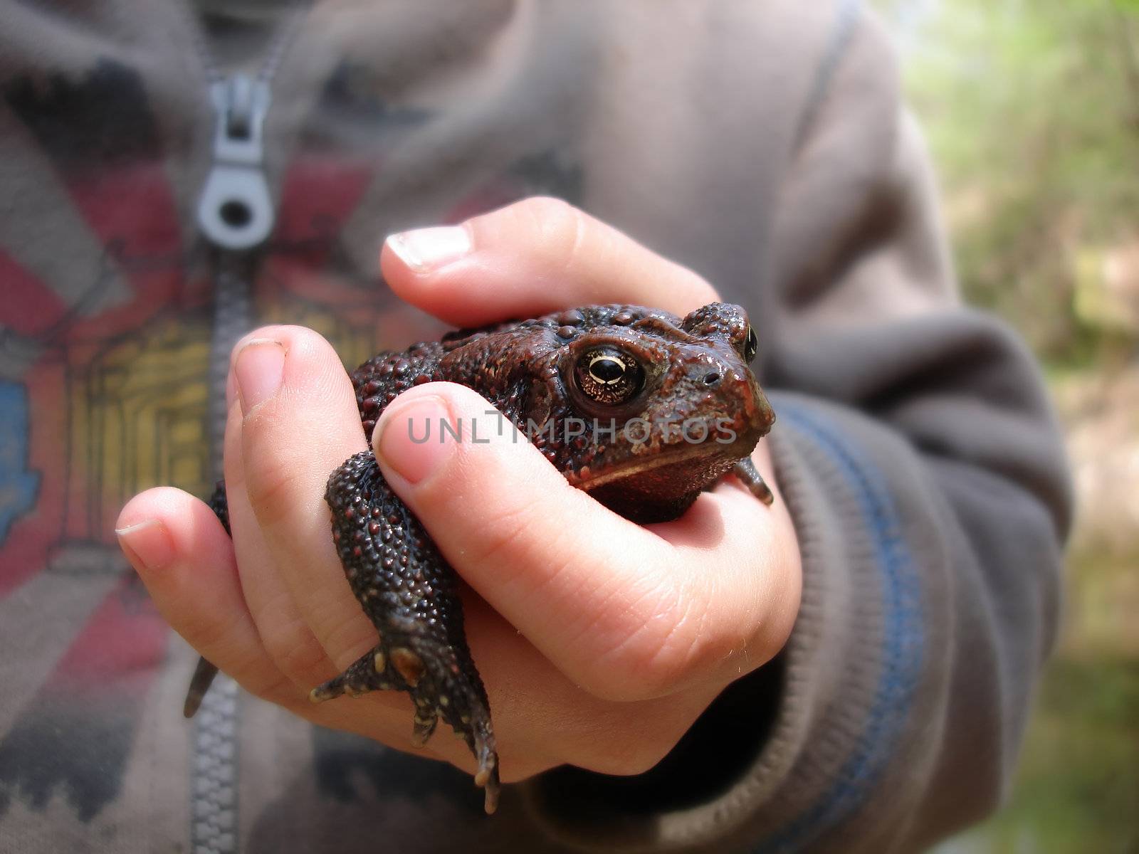 boy with a frog by amandaols