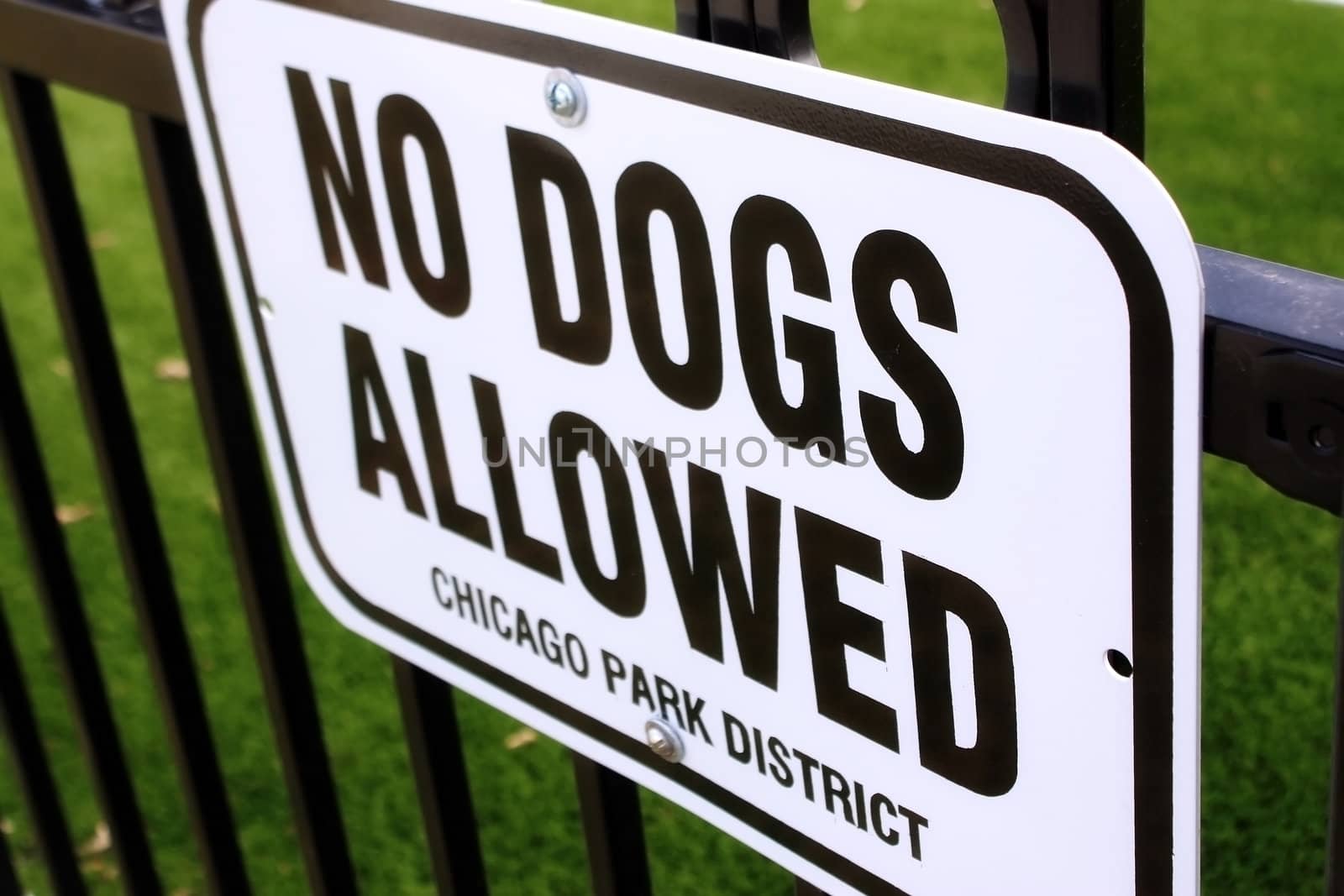 a sign that reads "no dogs allowed"