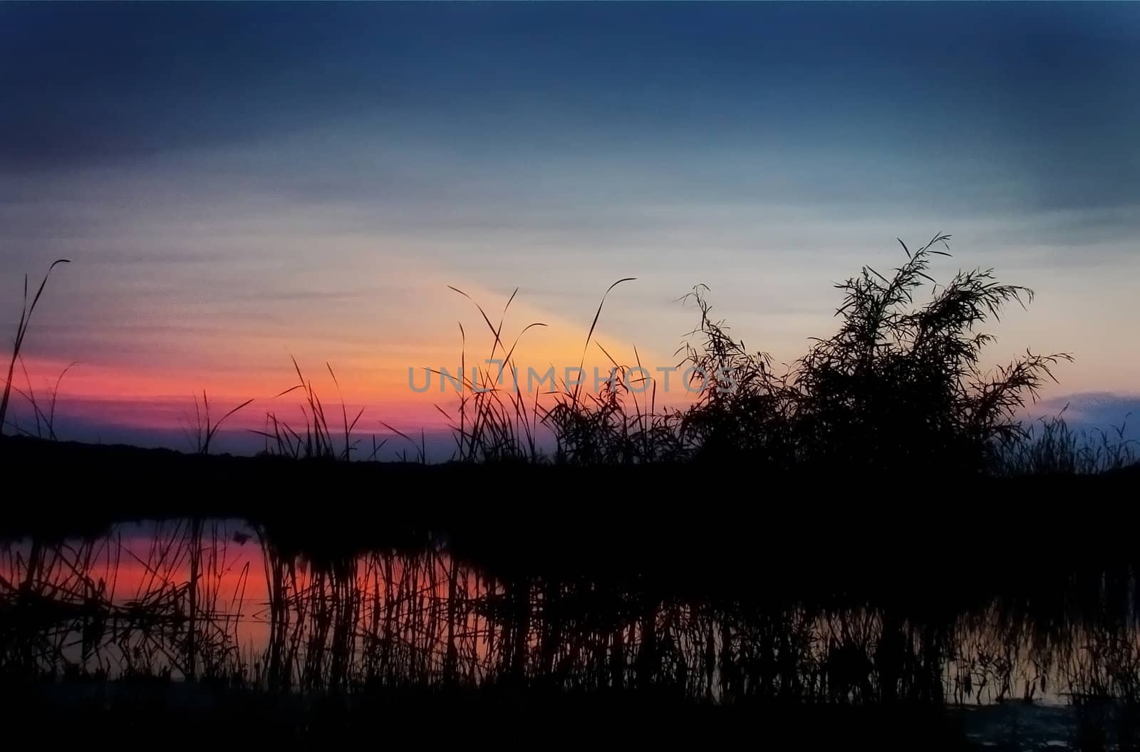 the sun sets behind a prairie marsh