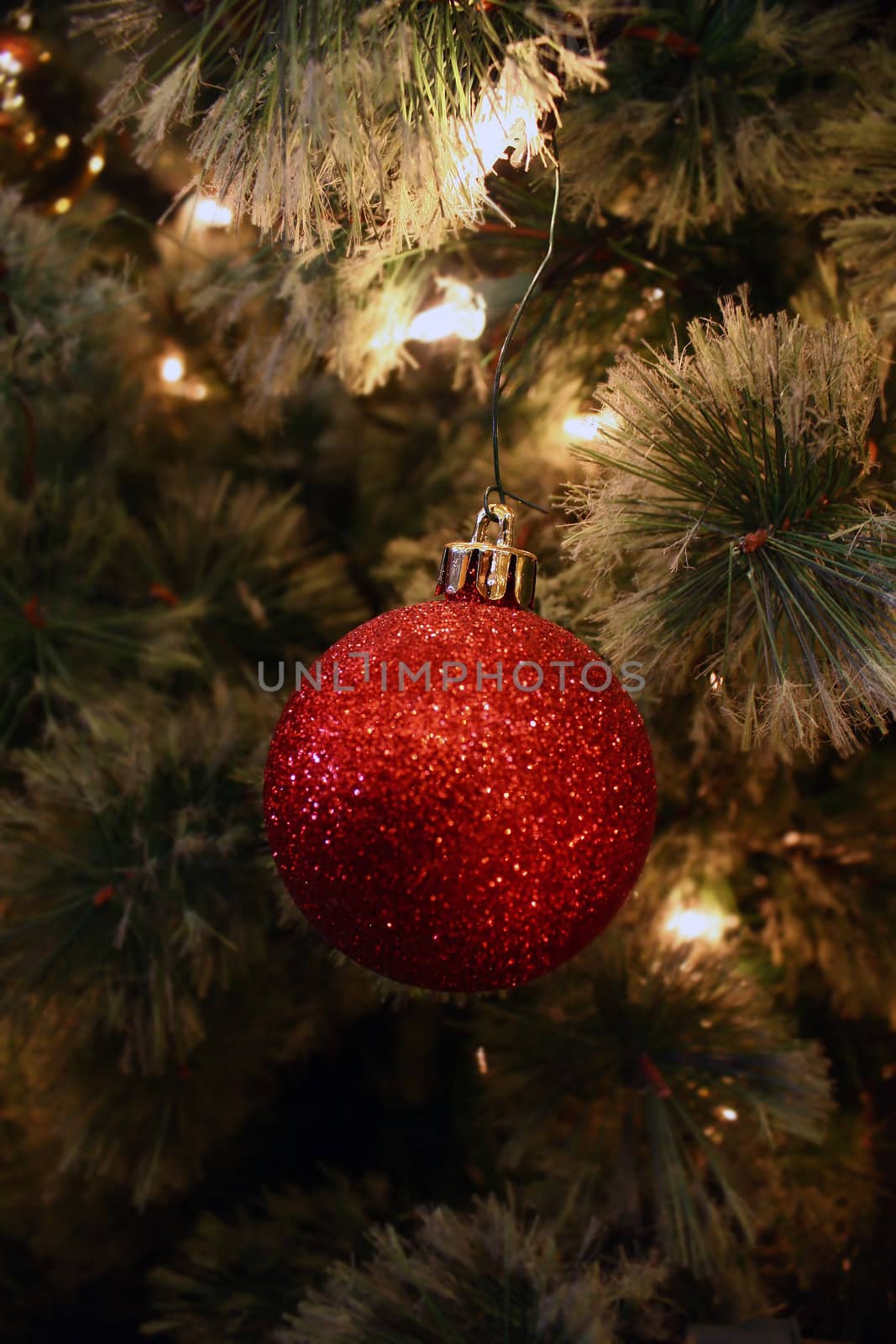 a close up shot of part of a christmas tree, with white lights and a red, sparkly ornament