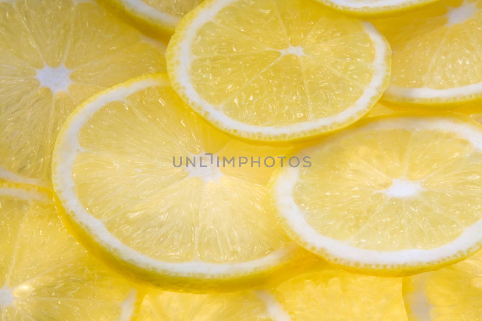 Background with lemon slices illuminated from below close-up (macro) 