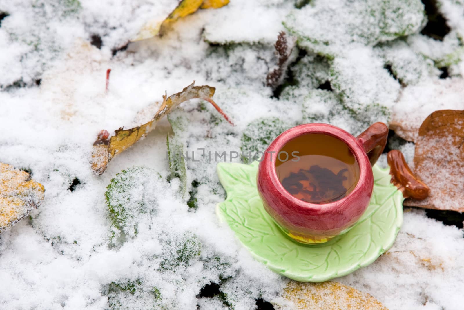 A cup of tea on a background of snow-covered leaves by elenica