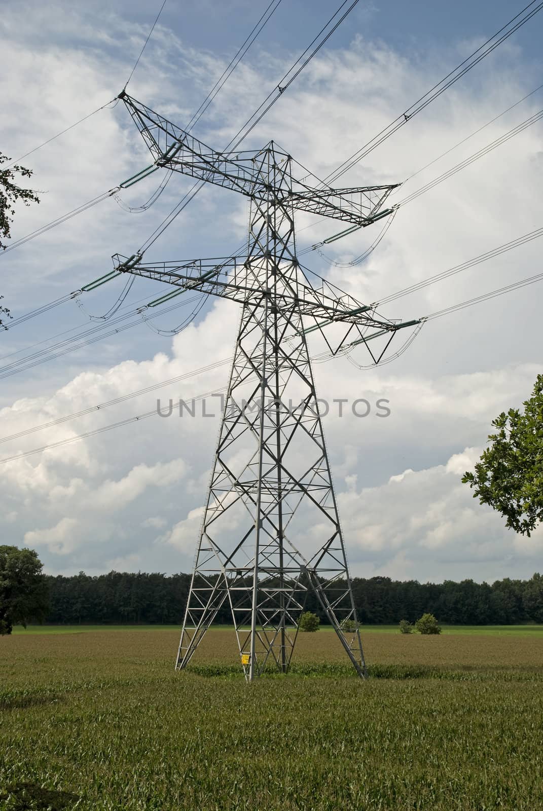 Electricity pylons by Gertje