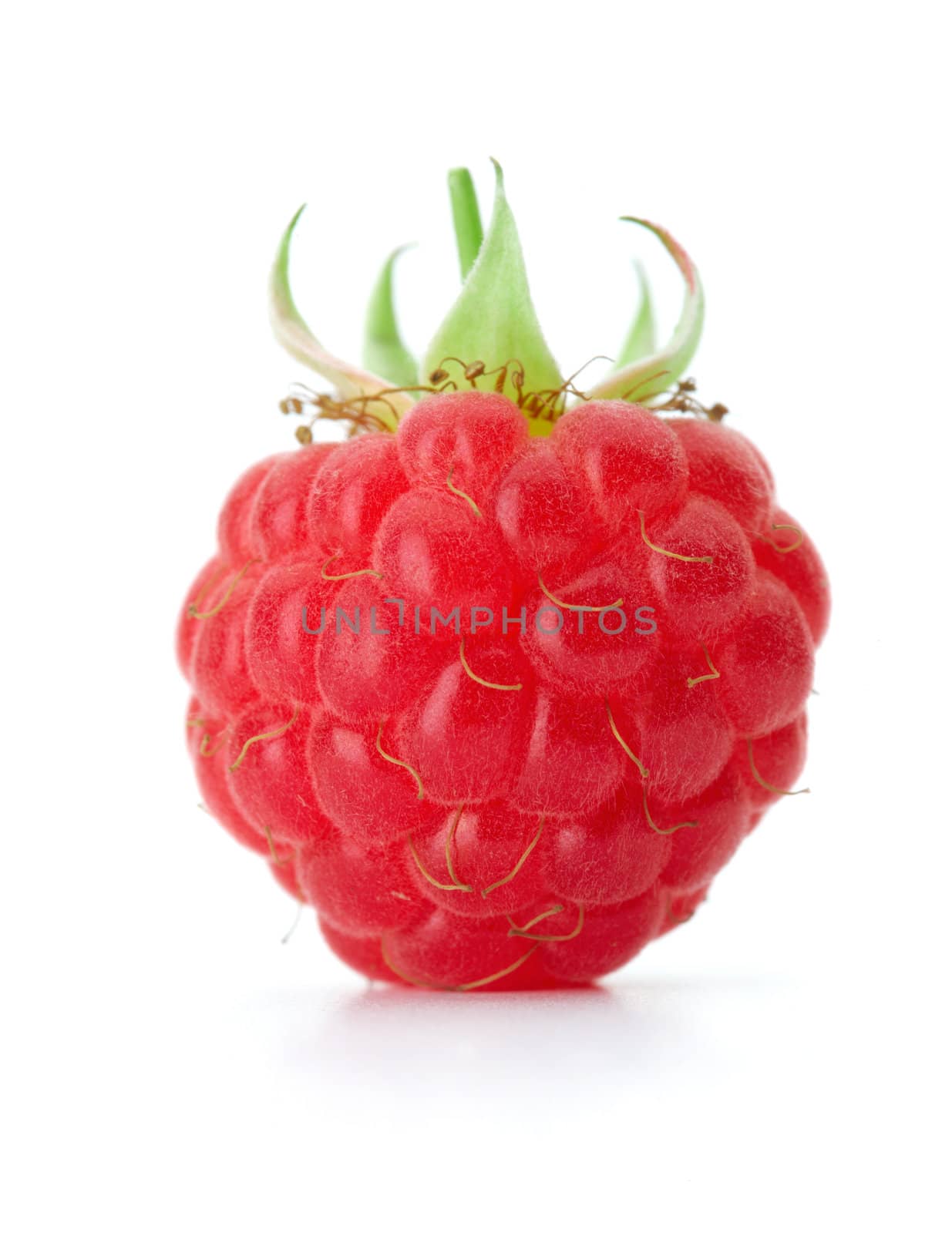 Raspberry with green leaves on white background