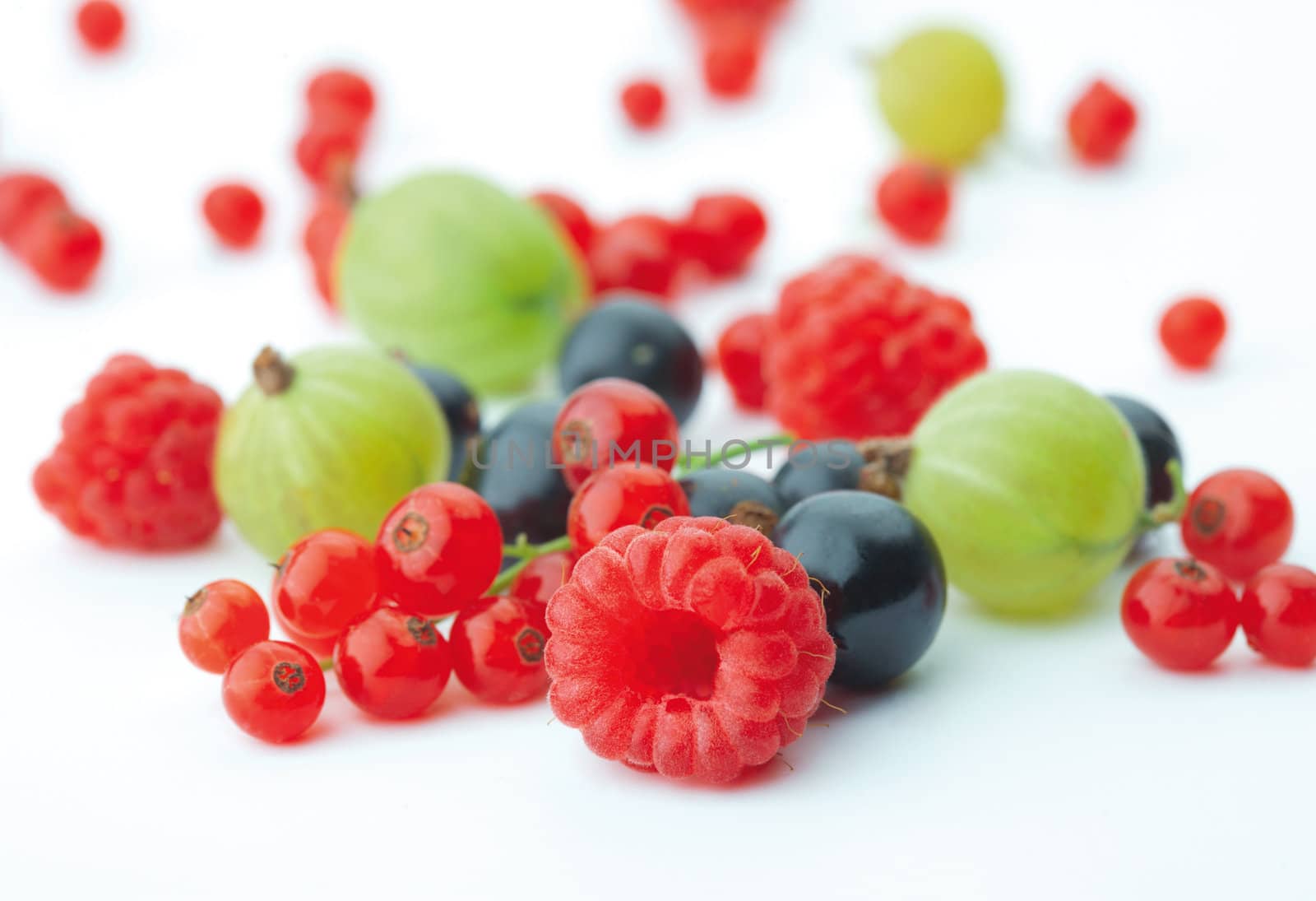 Spilled  mixed berries on white background whith a raspberry  in the foreground in focus.