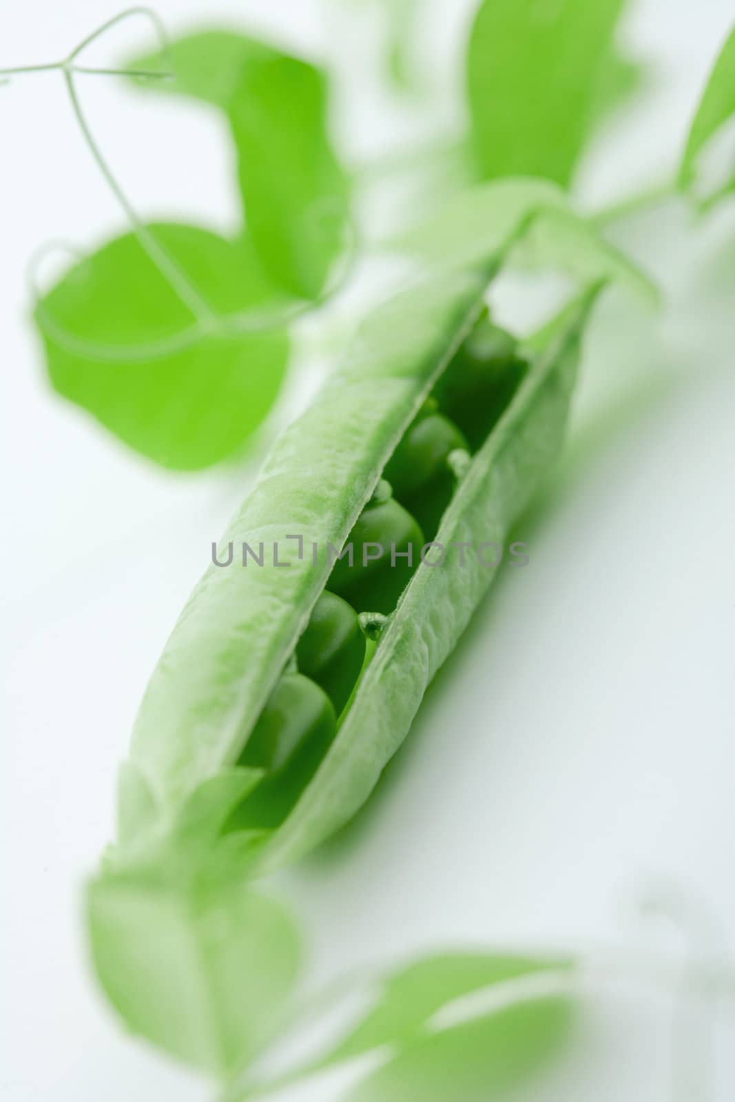 A pea pod revealing peas against white background