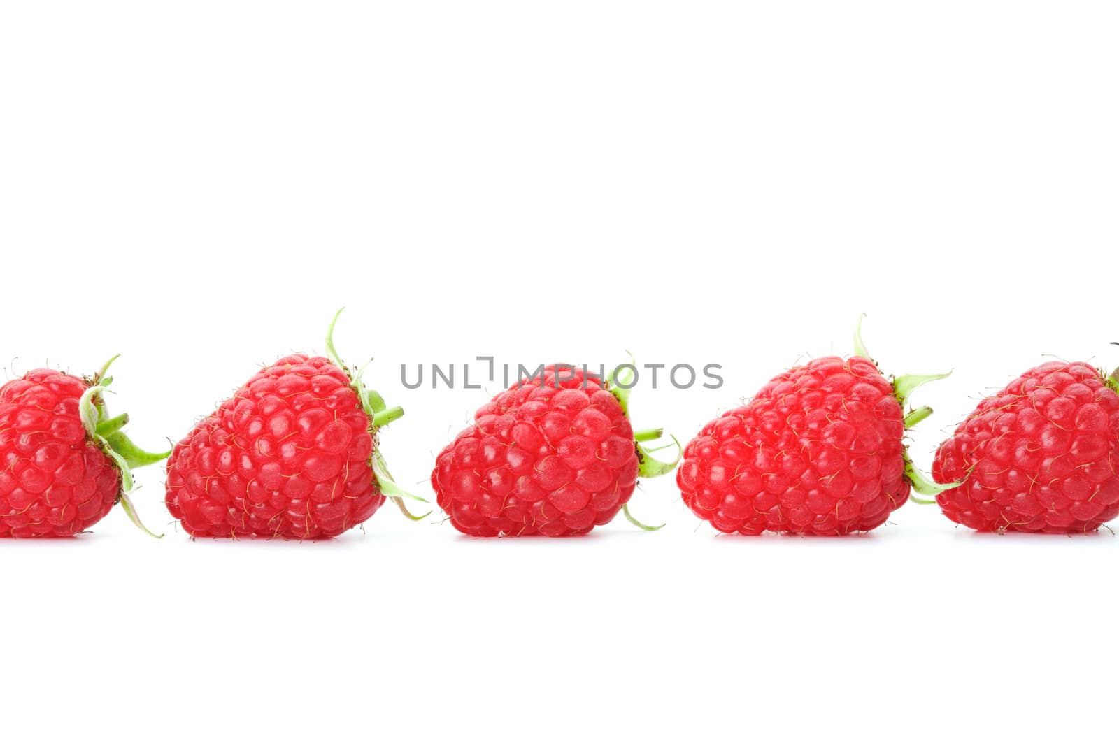  Row of raspberries with green leaves on white