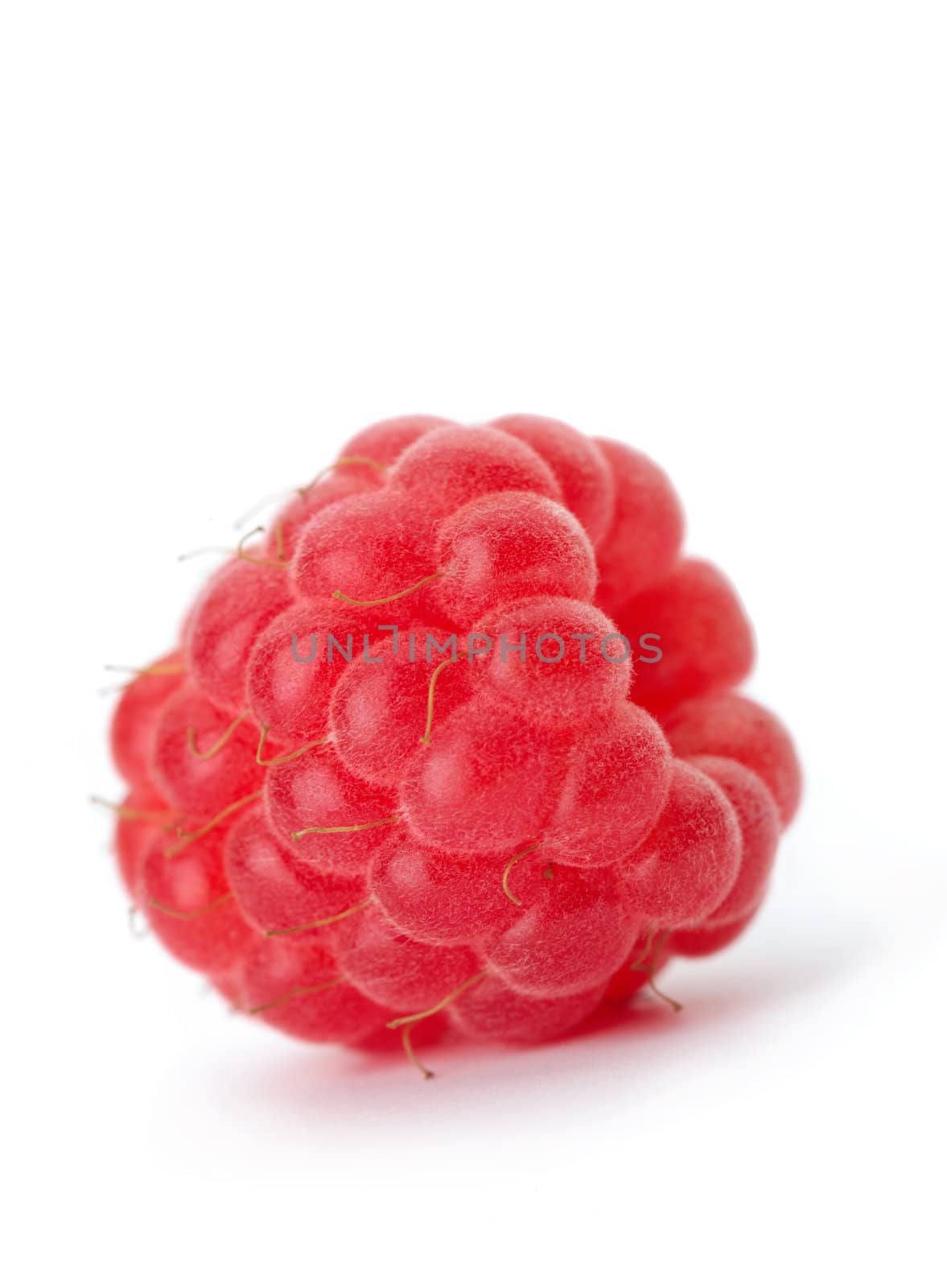 Raspberry single on white background