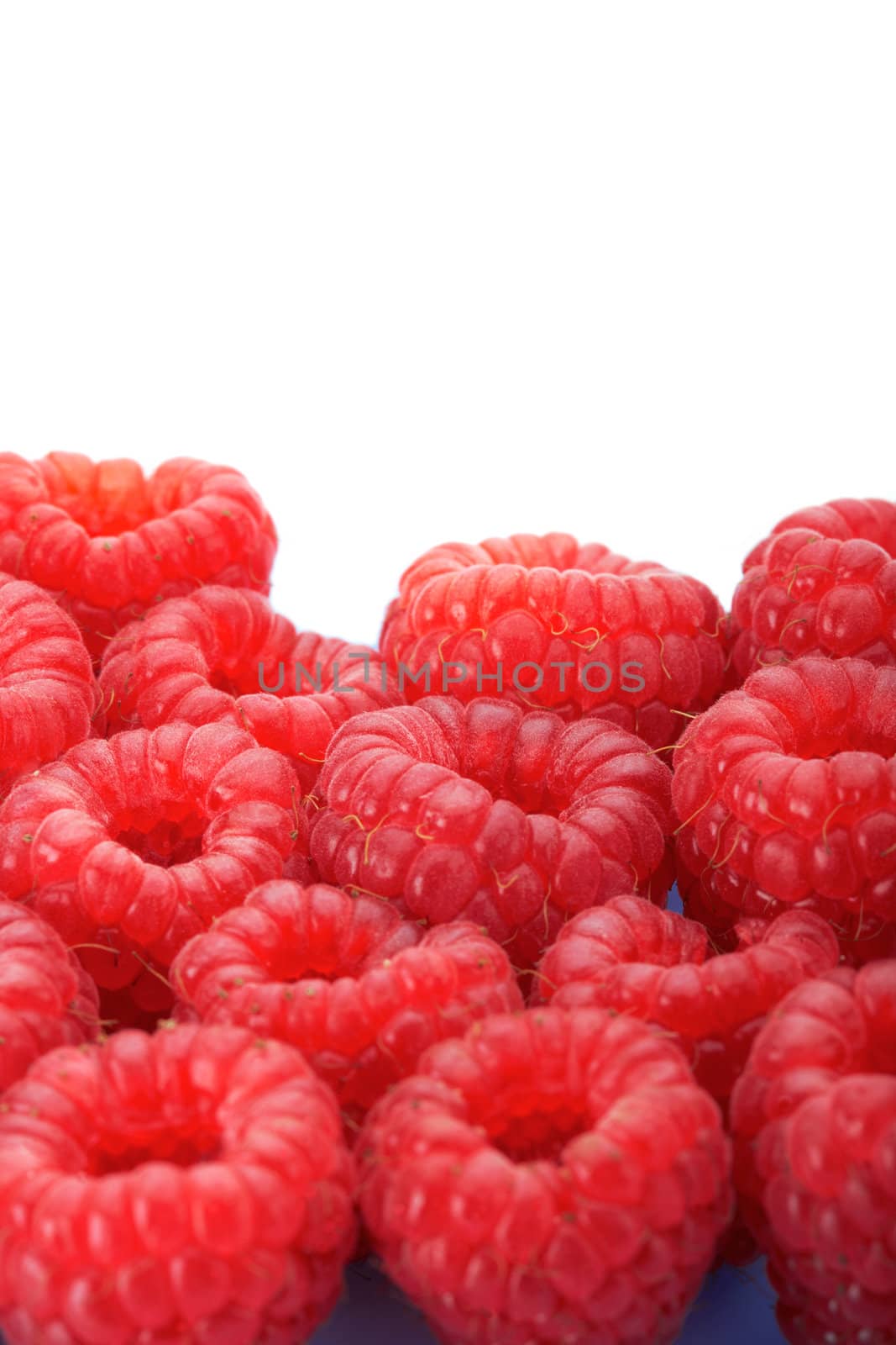 Raspberries on white background