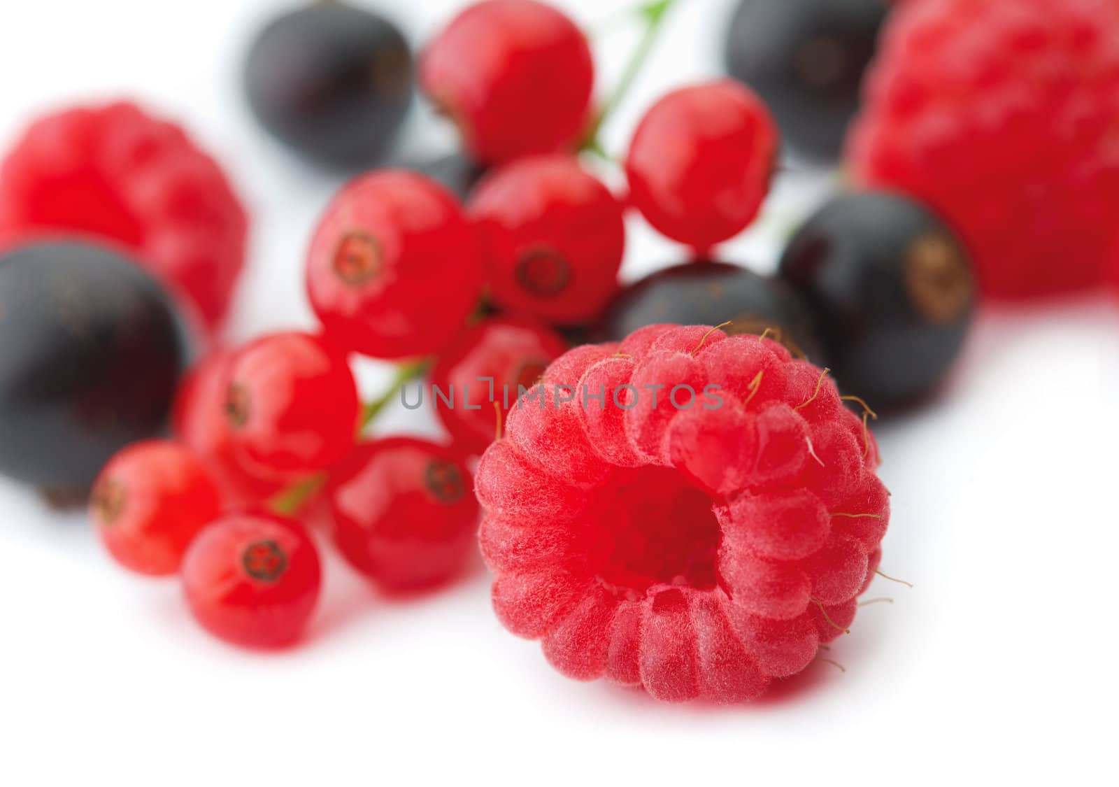 Spilled  mixed berries on white background whith a raspberry  in the foreground in focus.