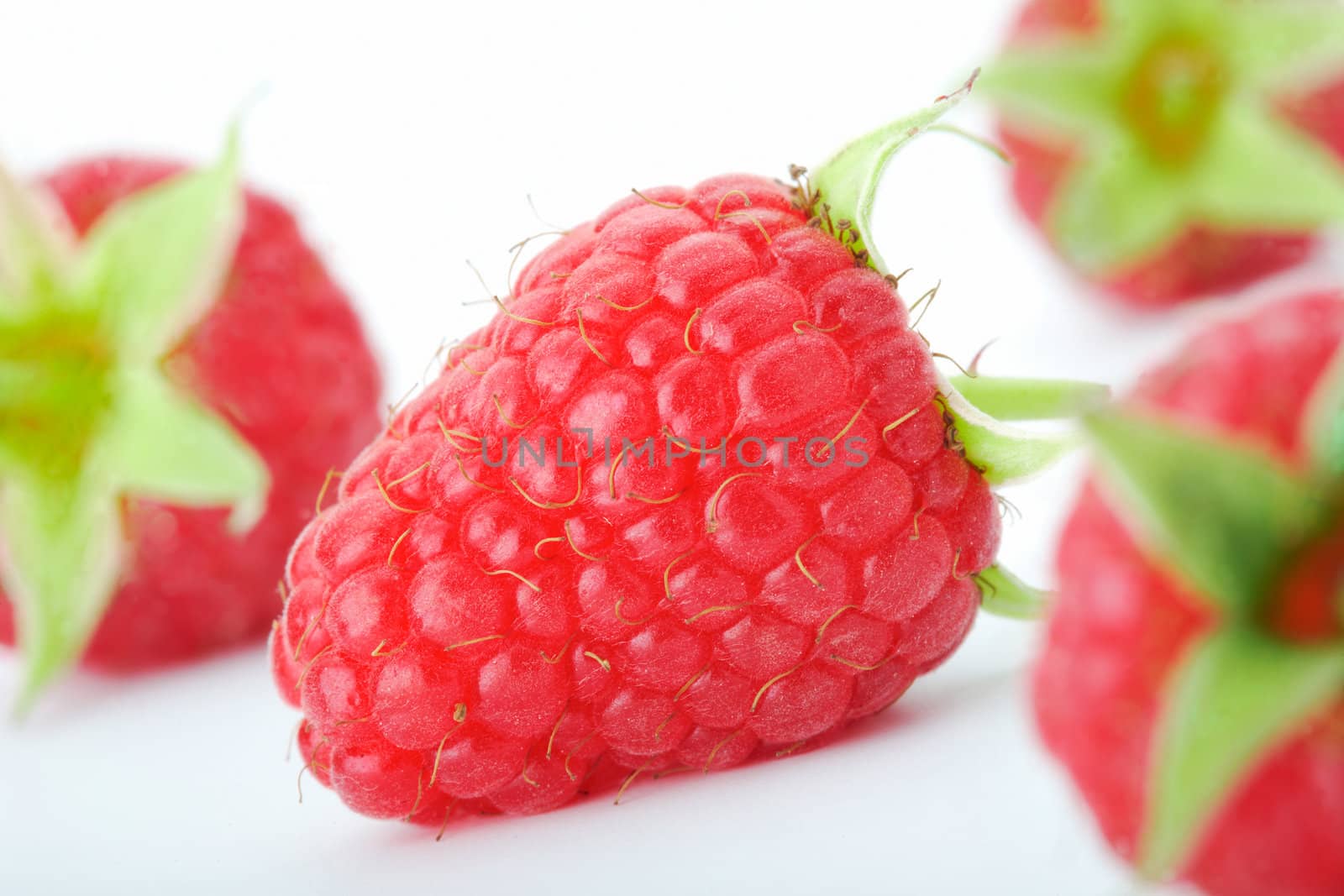 Raspberries by romanshyshak