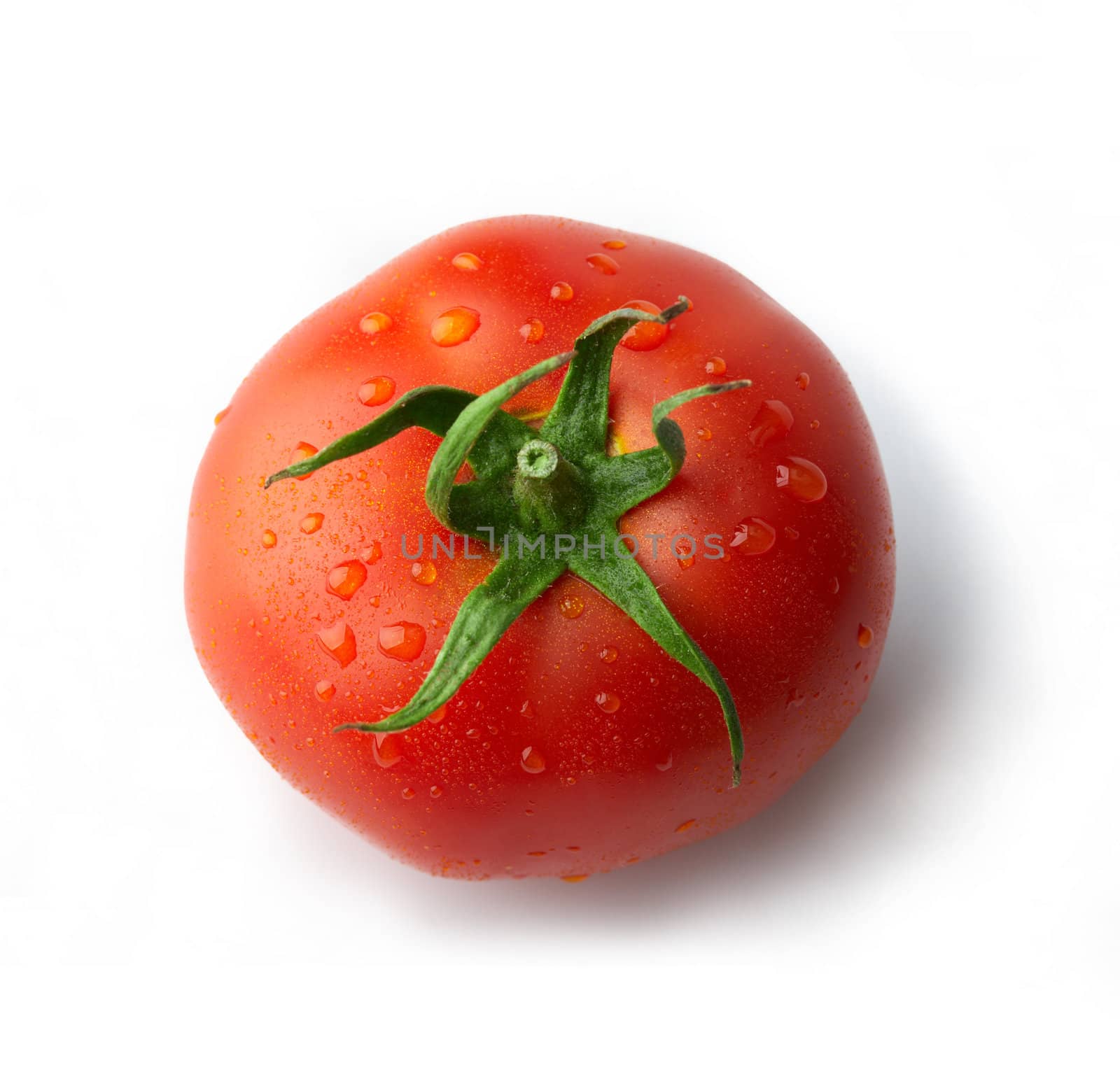 Tomato with drops by romanshyshak