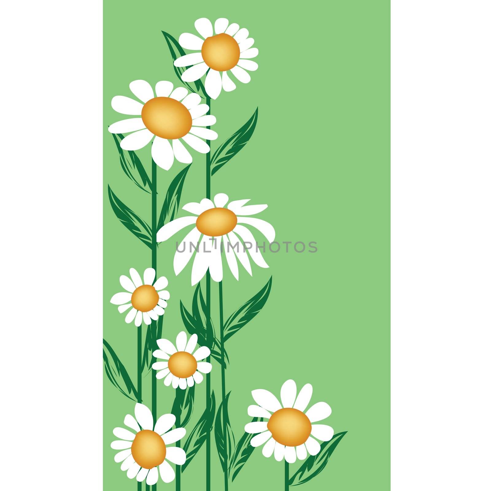 Floral background