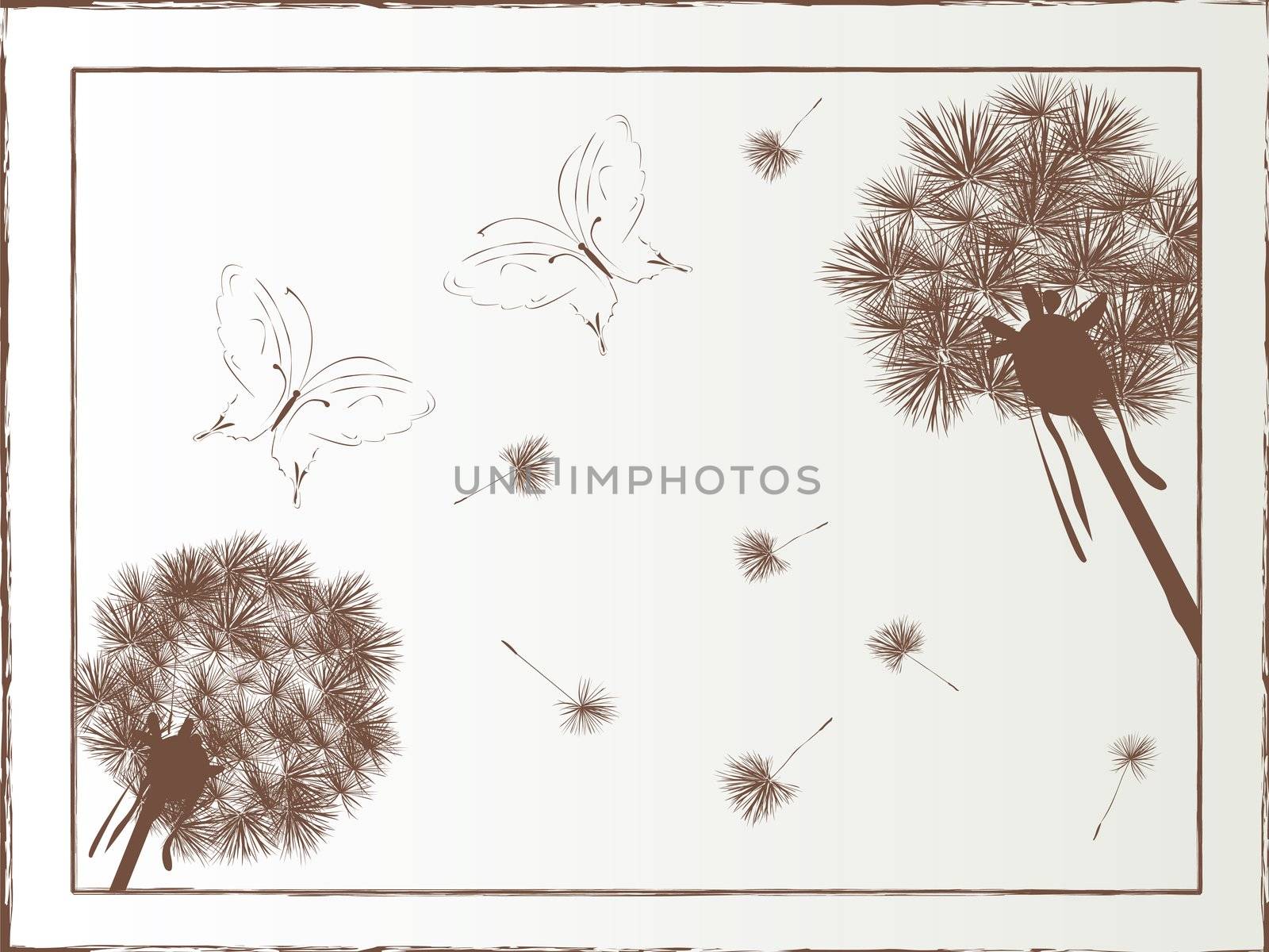 Dandelion and butterfly ilustrated