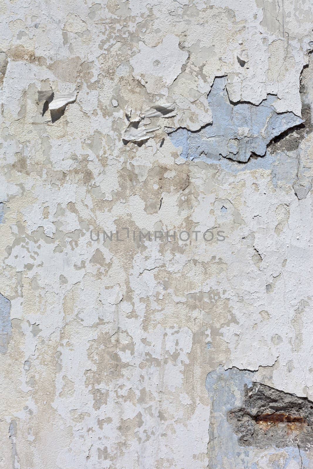 The Background from high detailed fragment stone wall