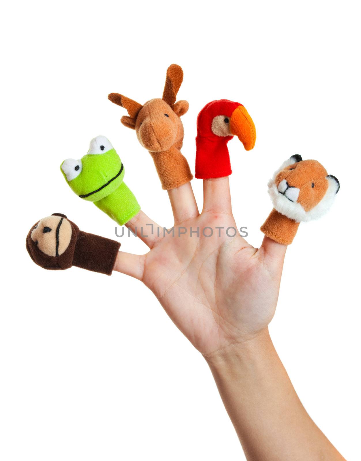 Female hand wearing 5 finger puppets; monkey, frog, reindeer, parrot; lion
