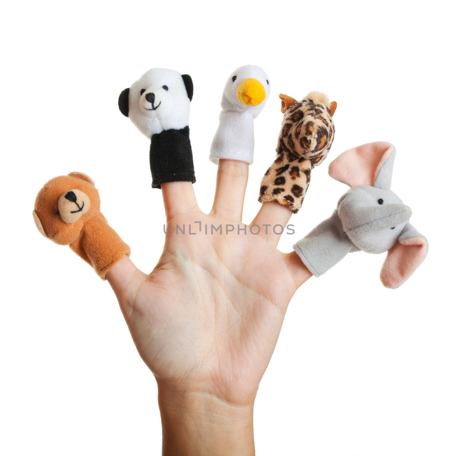 Female hand wearing 5 finger puppets; bear; panda; duck; giraffe; elephant
