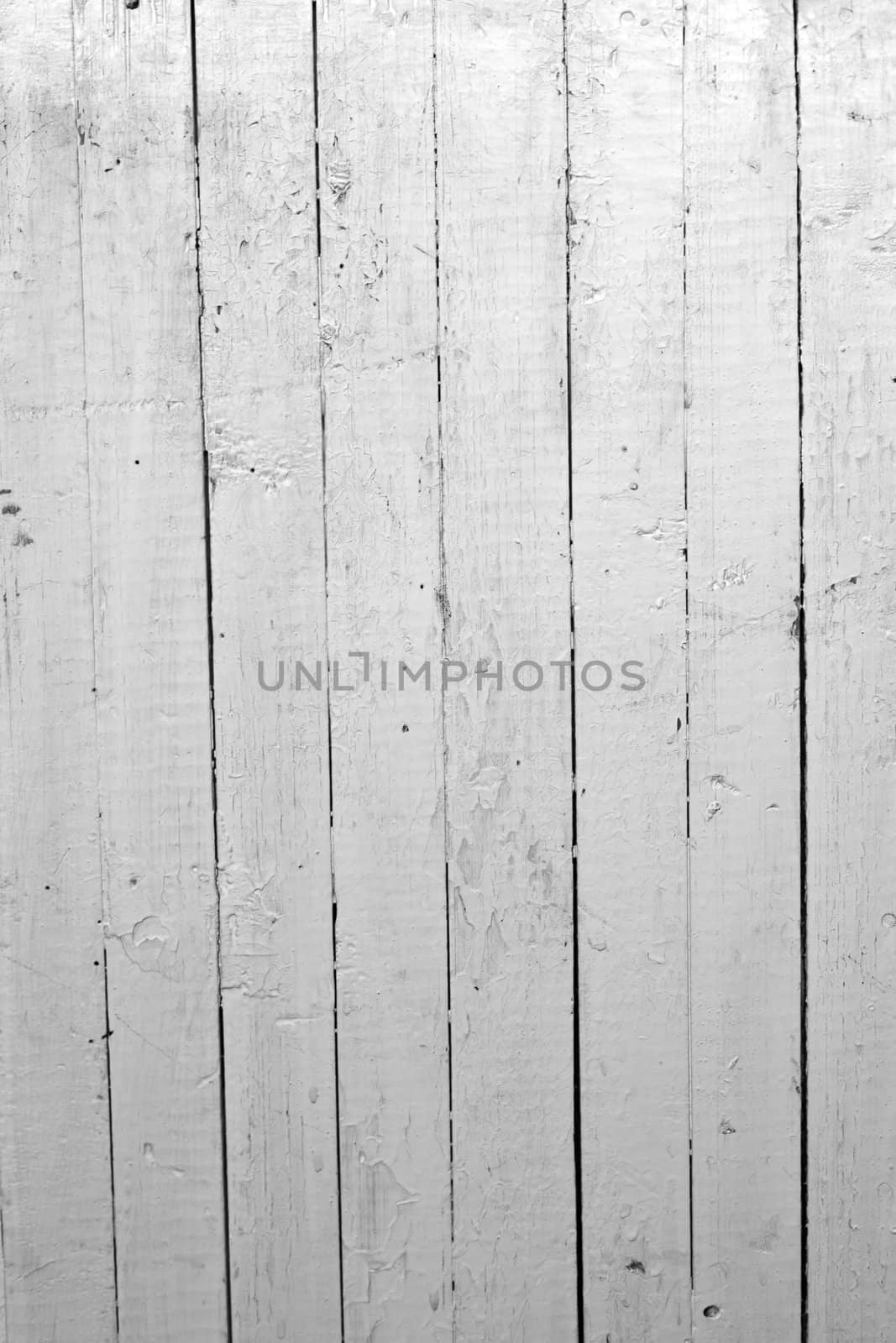 the background of weathered white painted wood